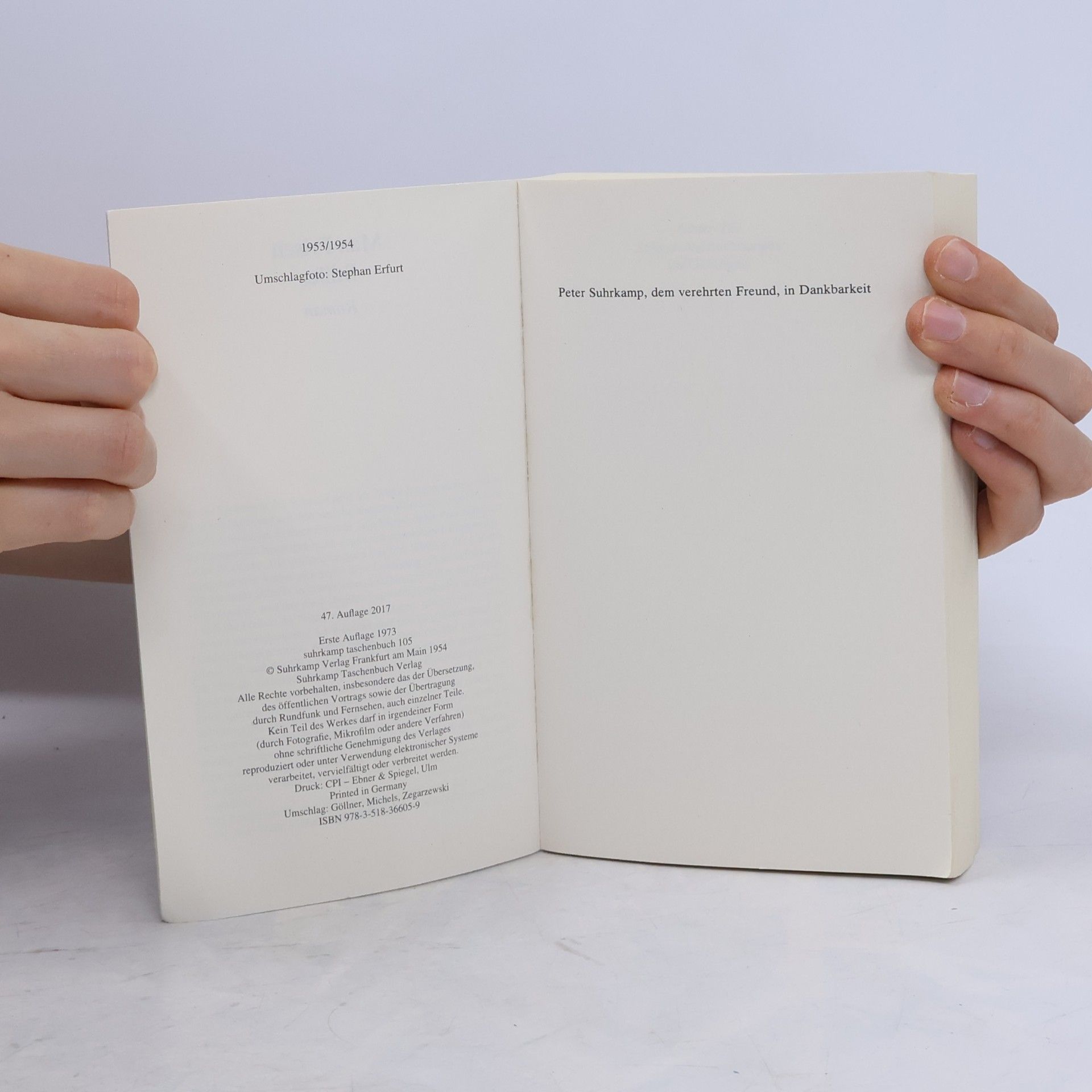 Max Frisch Stiller