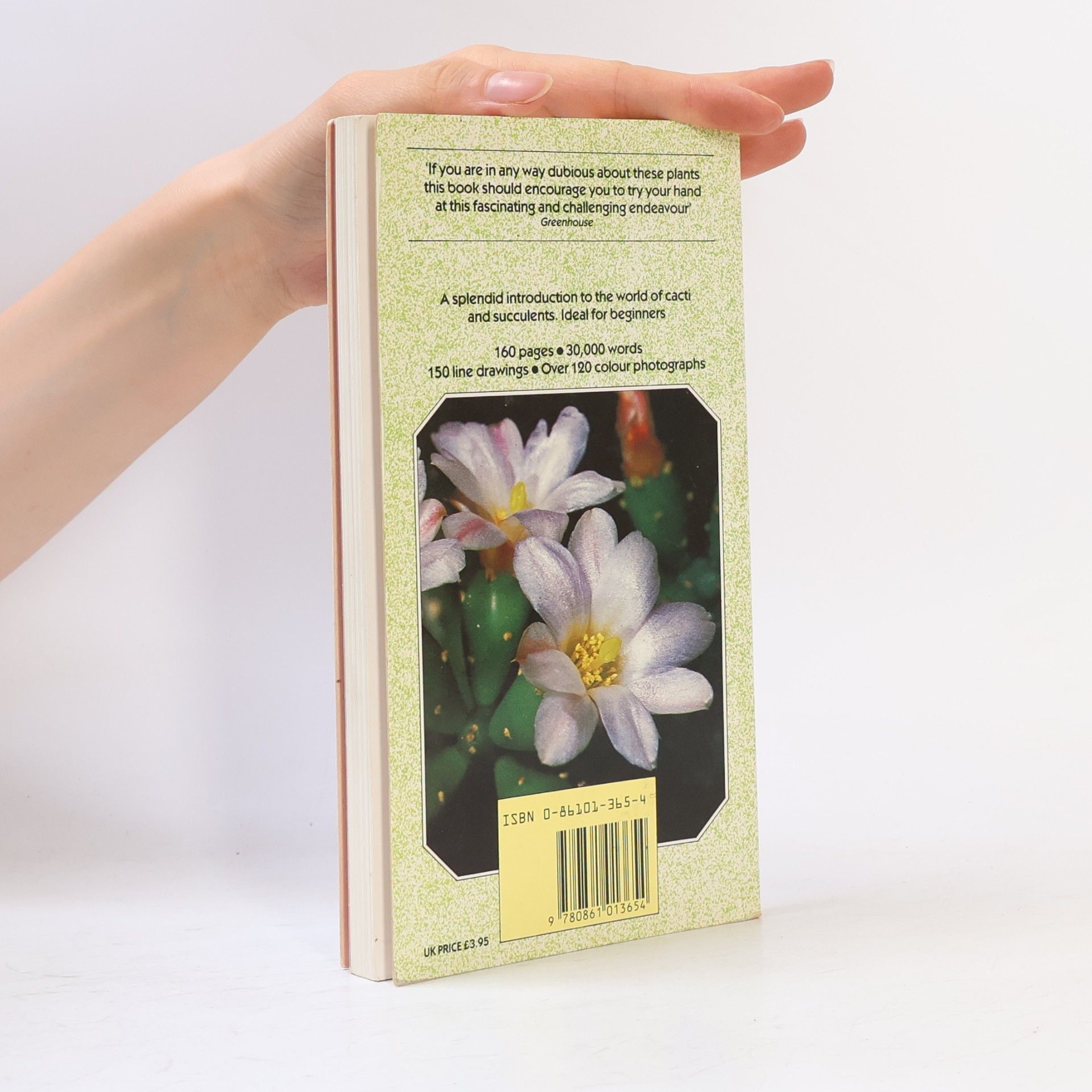 Peter Chapman The Gardener's Guide to Cacti and Succulents