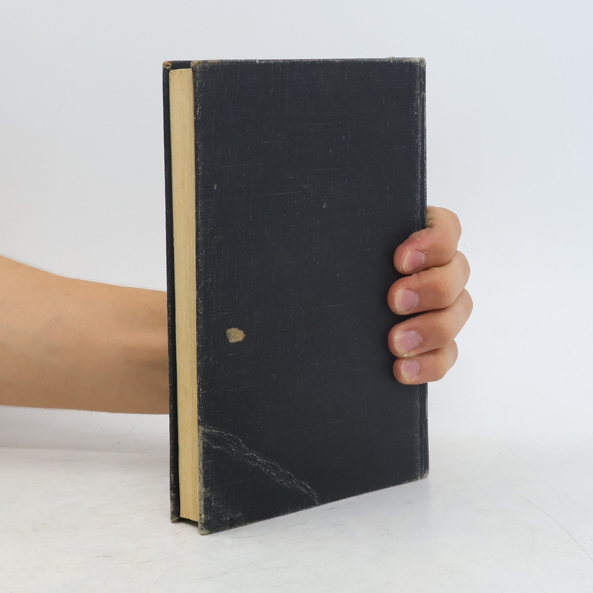 James Clavell Král Krysa
