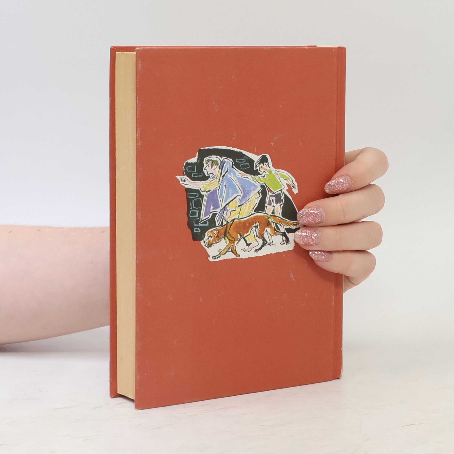 Enid Blyton 5 freunde aud Schmuggleijagd