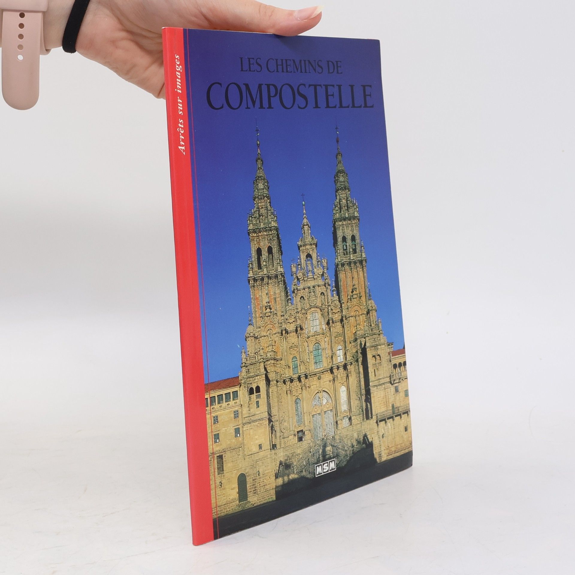Autorenkollektiv Arrêts sur images: Les chemins de Compostelle