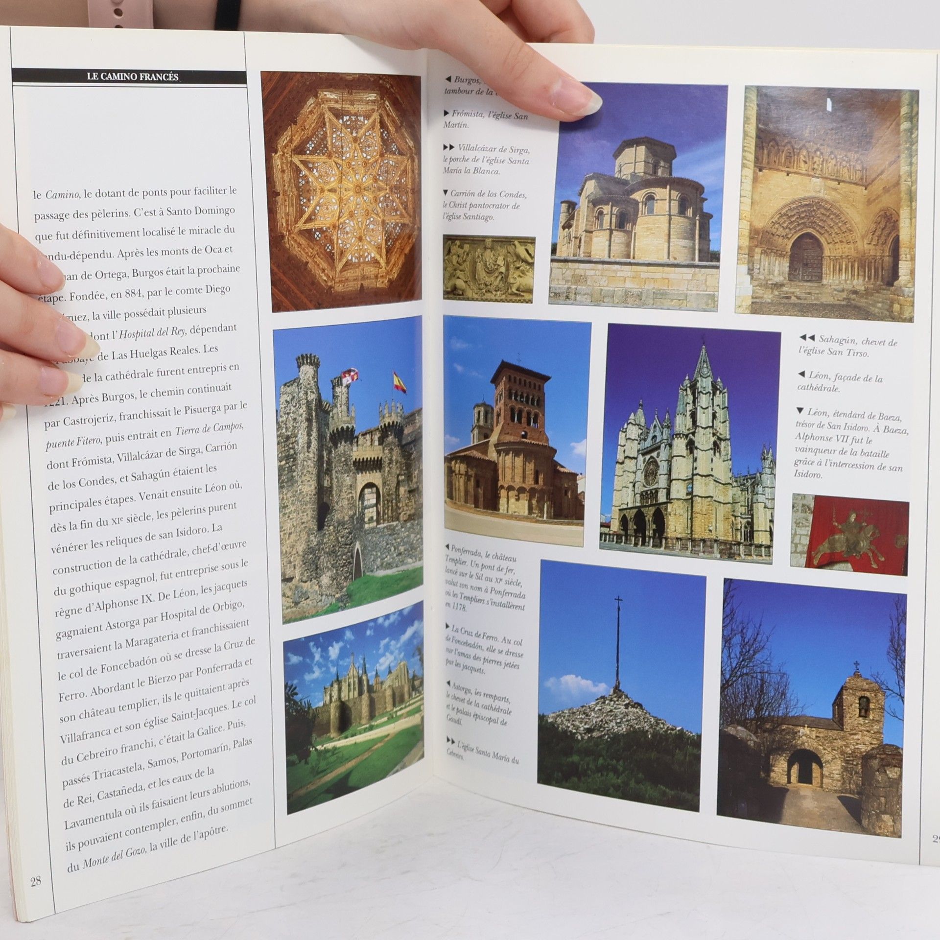 Arrêts sur images: Les chemins de Compostelle