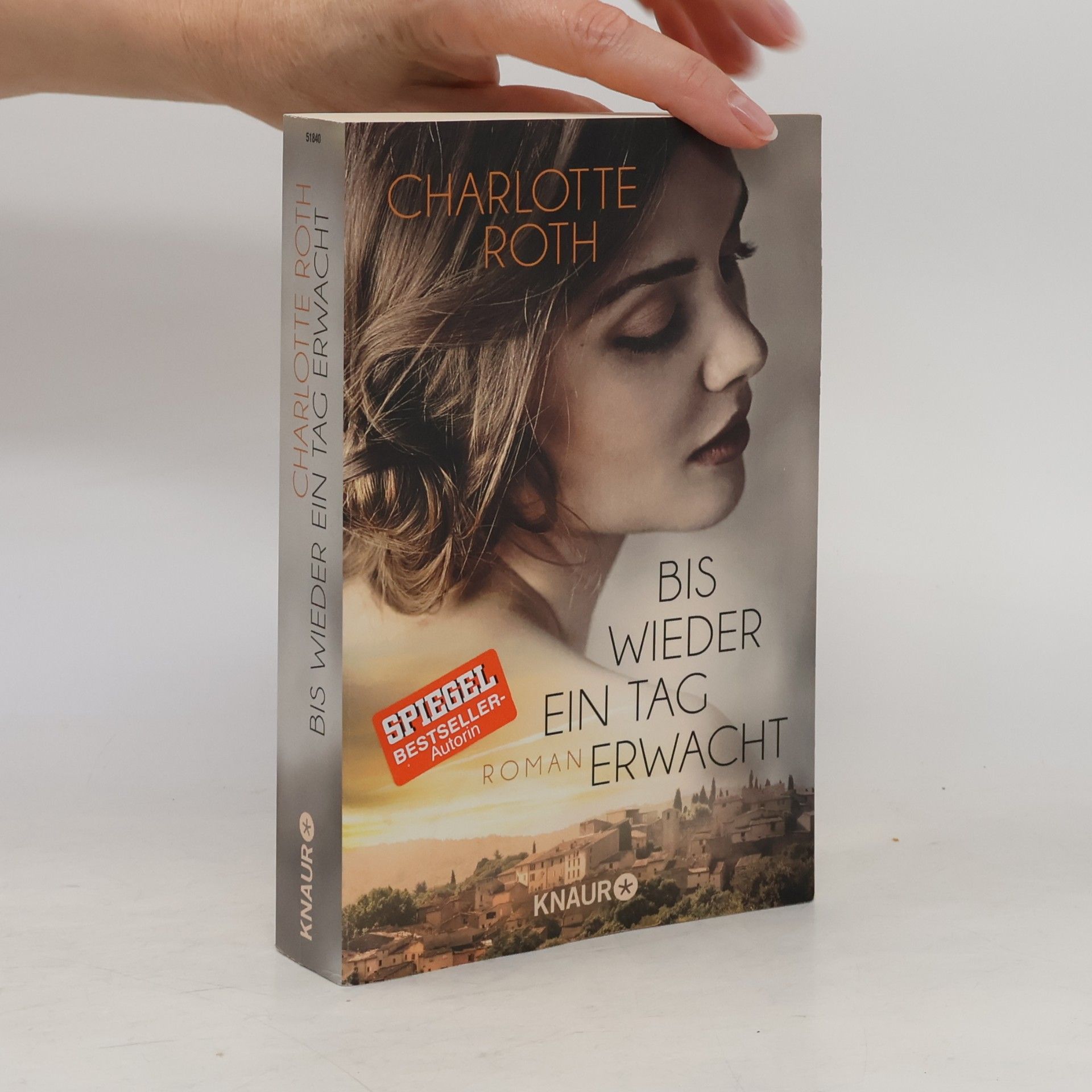 Charlotte Roth Bis wieder ein Tag erwacht