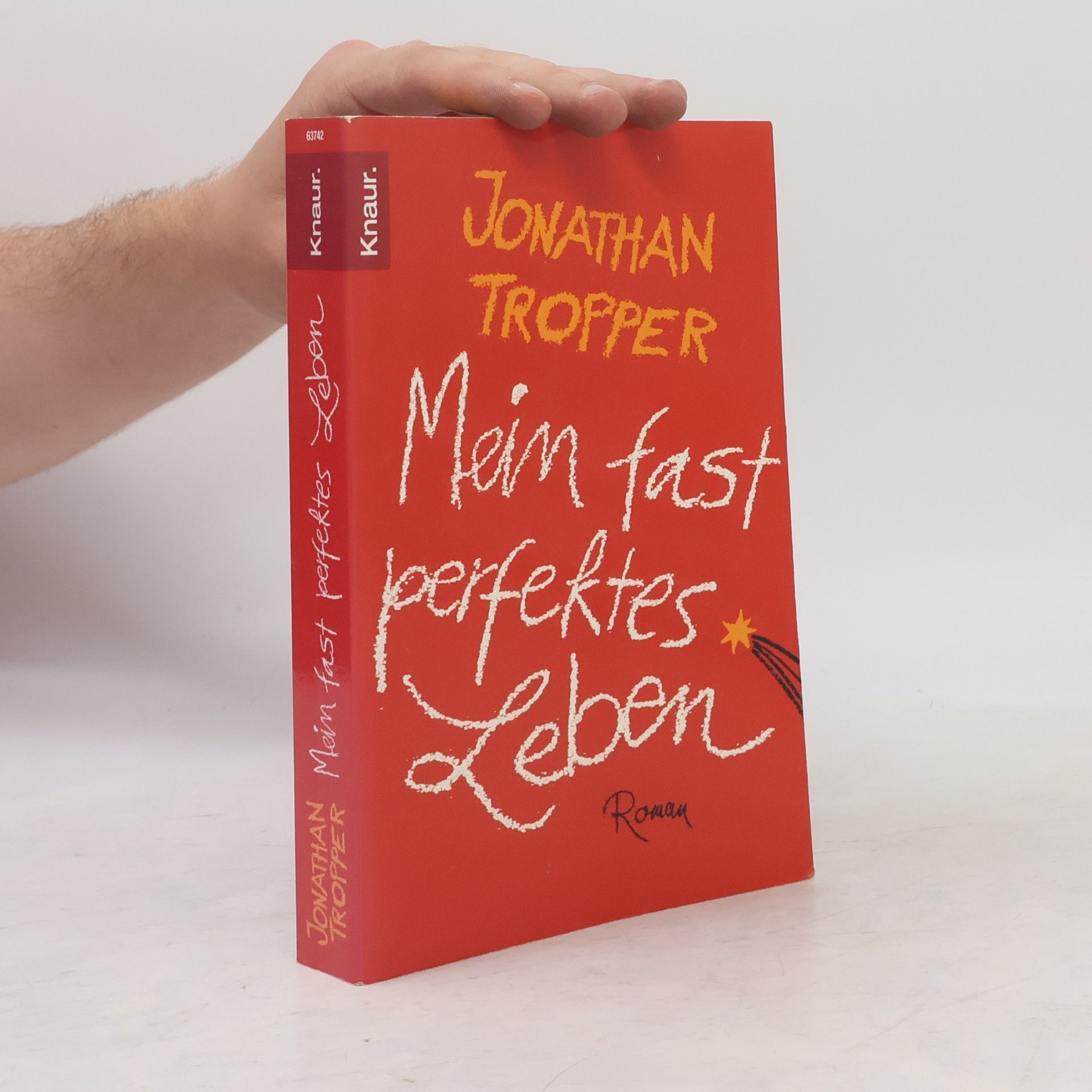 Jonathan Tropper Mein fast perfektes Leben