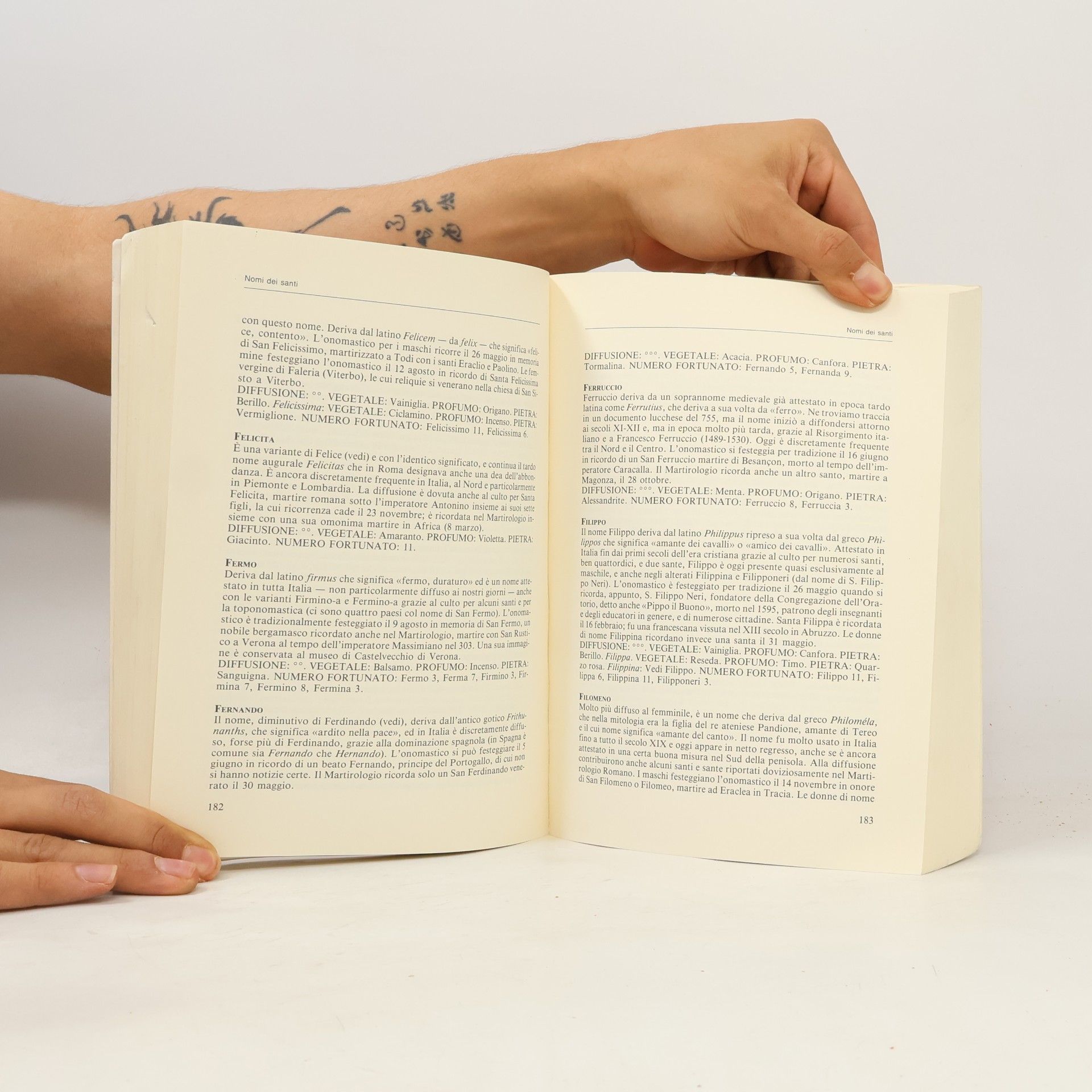Dario Spada Il libro dei nomi
