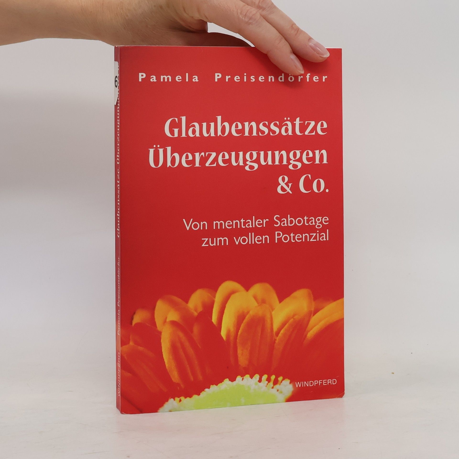 Kolektiv autorů Glaubenssätze, Überzeugungen & Co.