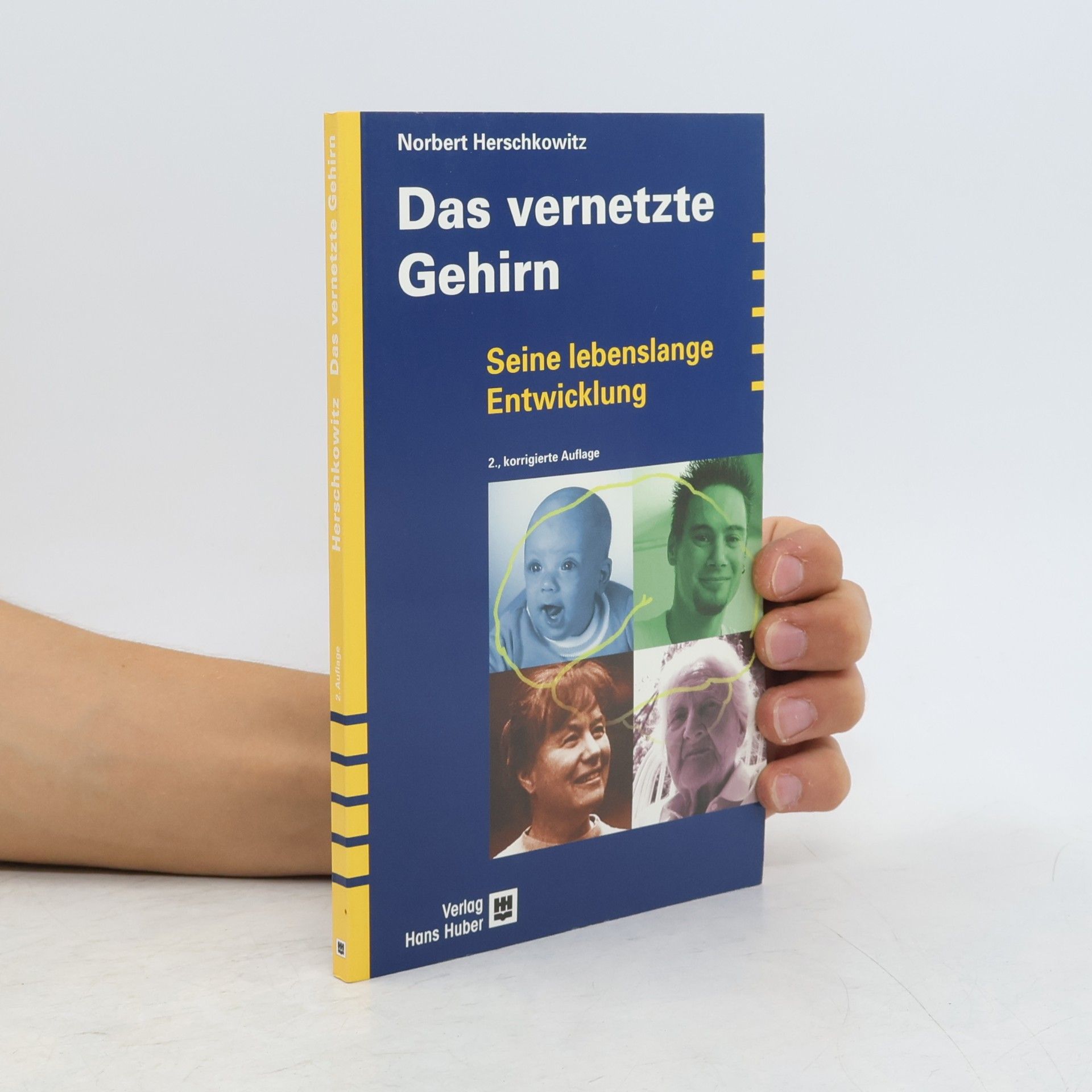Das vernetzte Gehirn