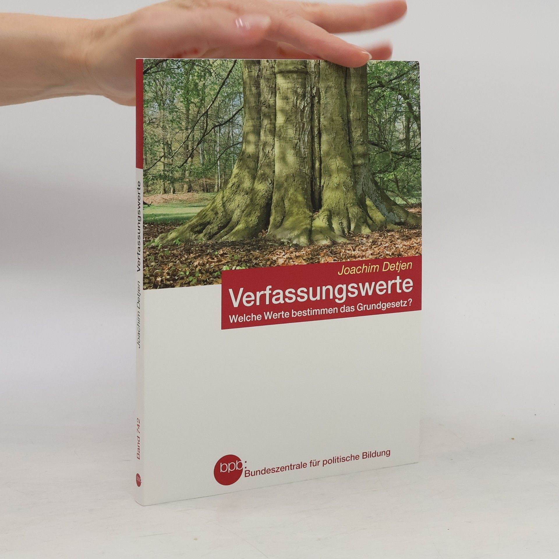 Joachim Detjen Verfassungswerte Welche Werte bestimmen das Grundgesetz?