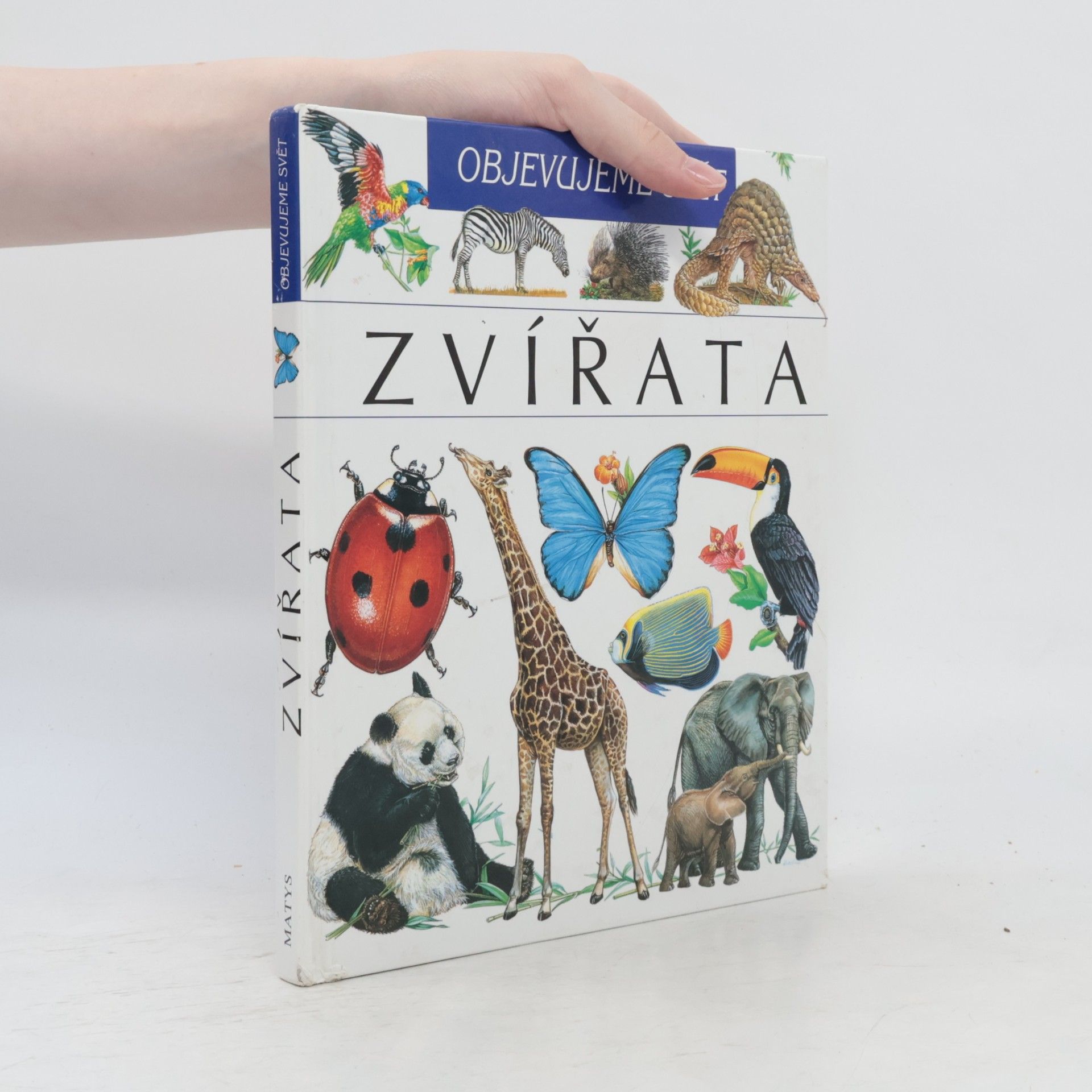 Auteurscollectief Zvířata. Objevujeme svět