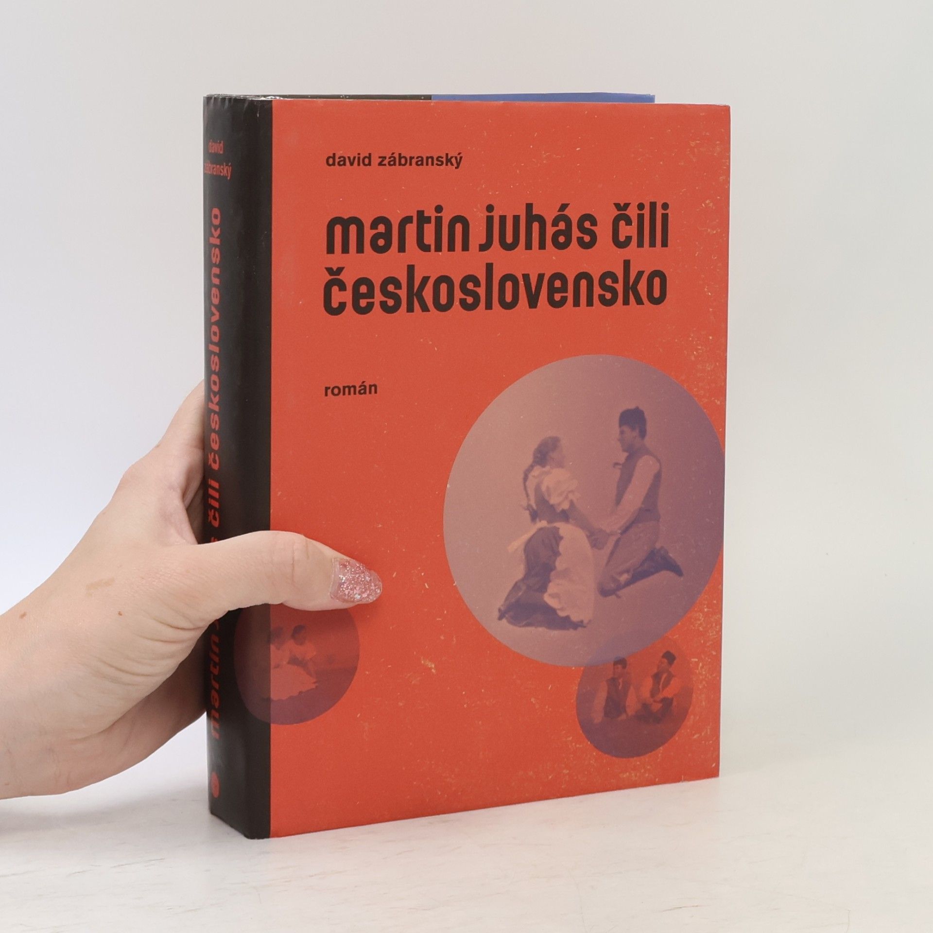 David Zábranský Martin Juhás, čili, Československo : román