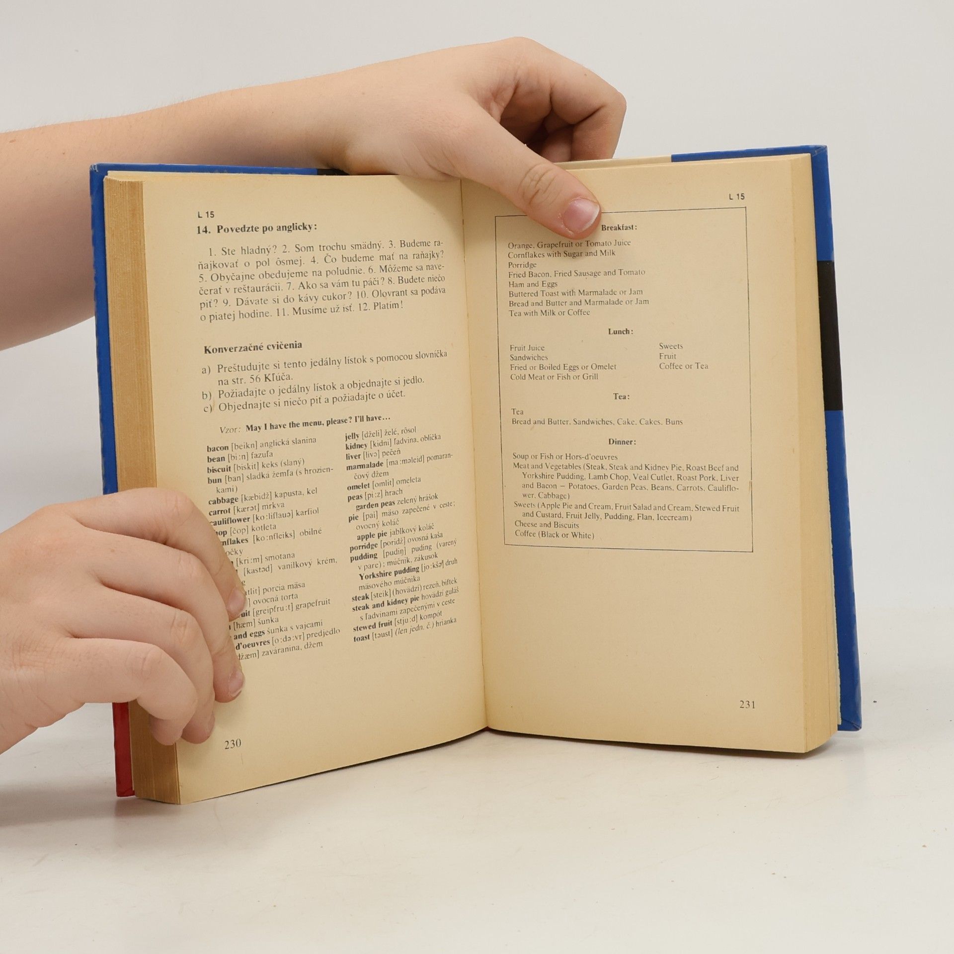 Autorenkollektiv Angličtina pre samoukov