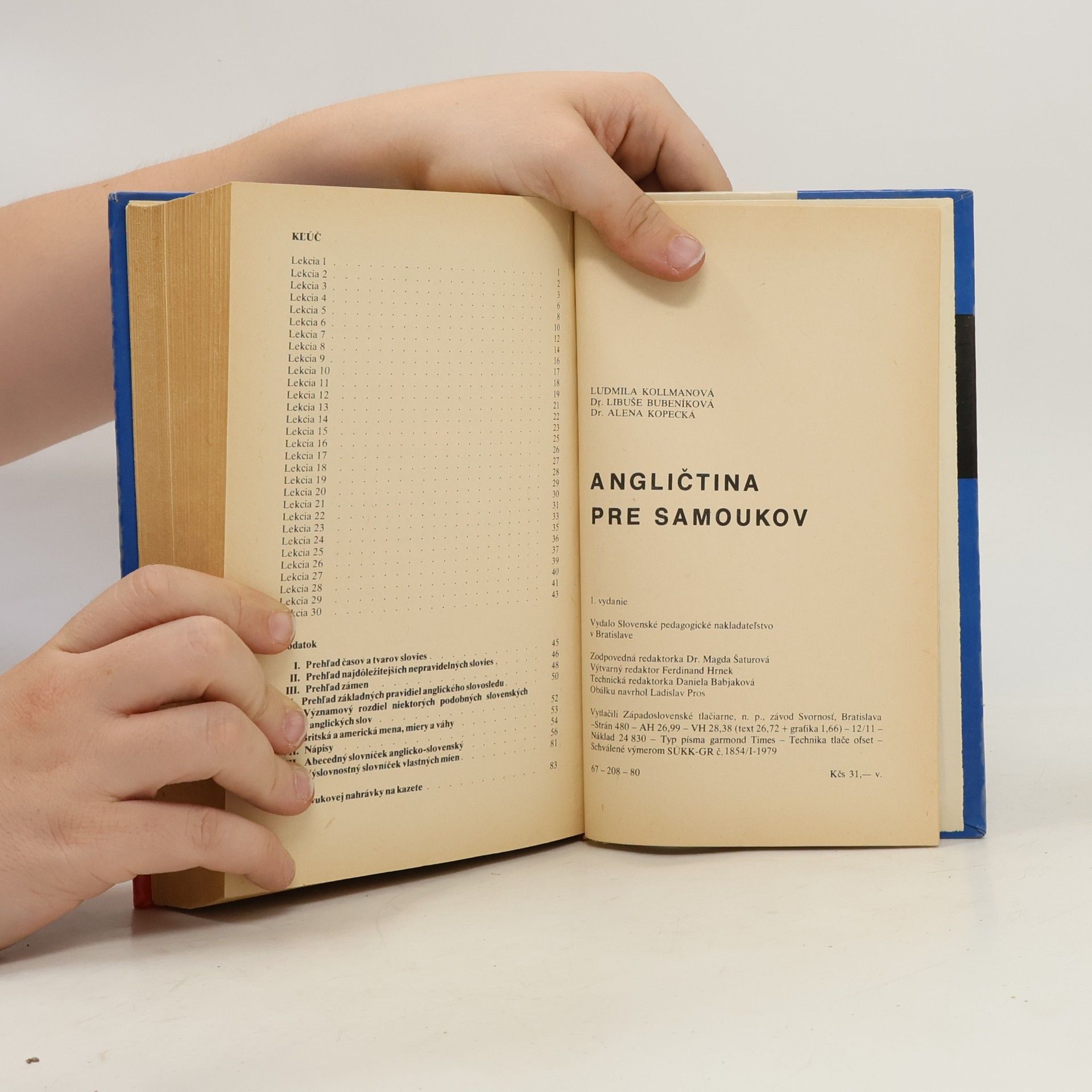 Autorenkollektiv Angličtina pre samoukov