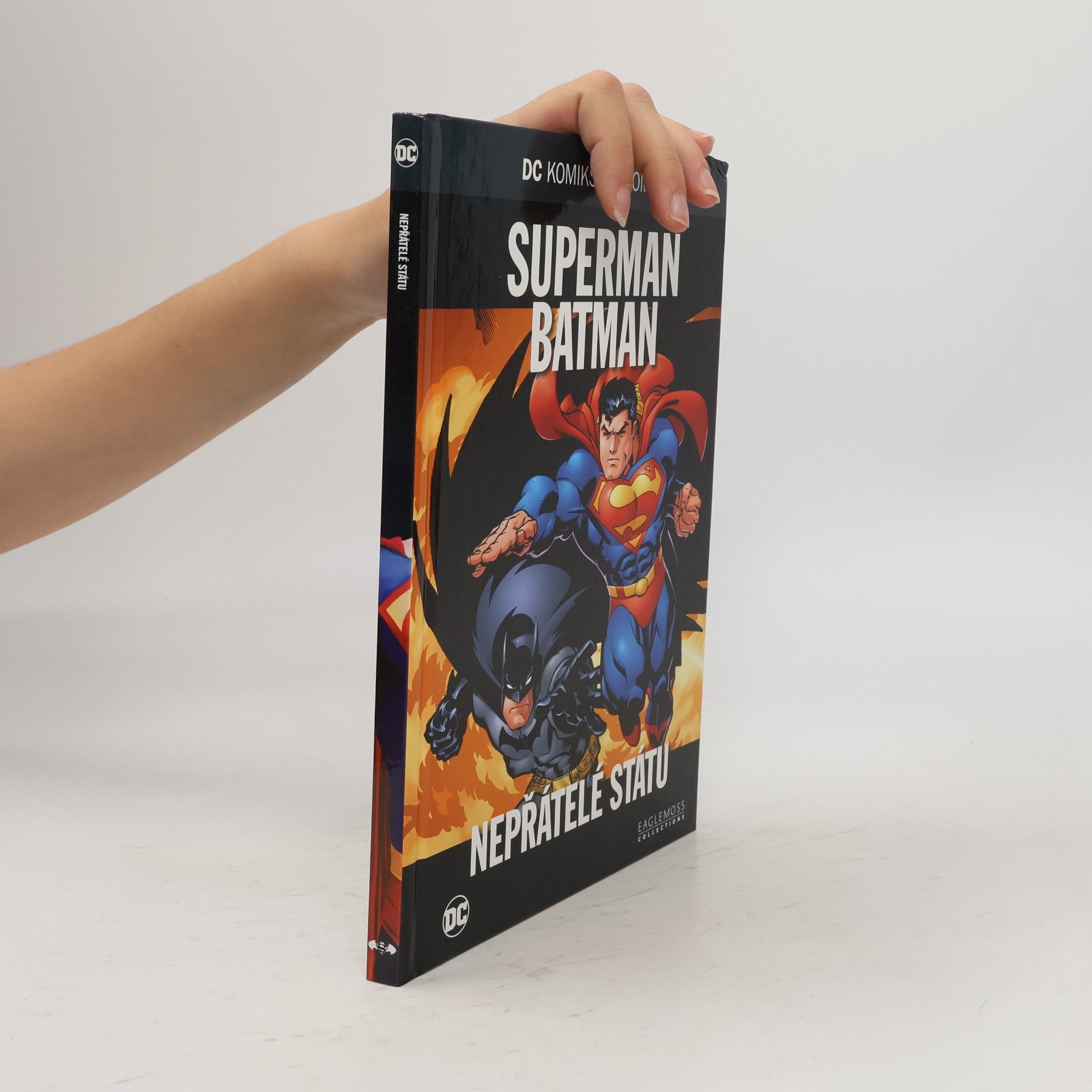 Martina D. Antonínová Superman, Batman: Nepřátelé státu