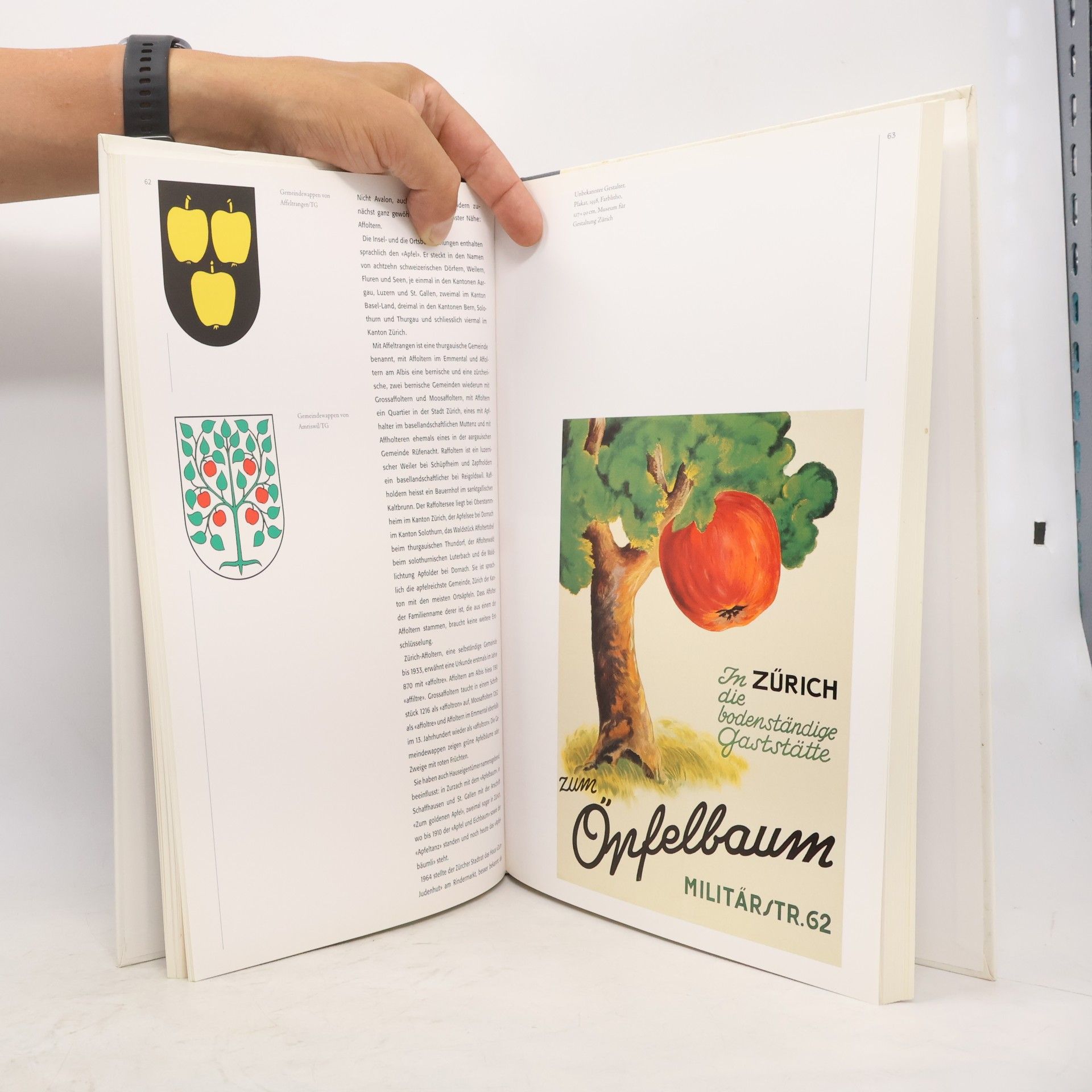Verena Füllemann Faites vos pommes!