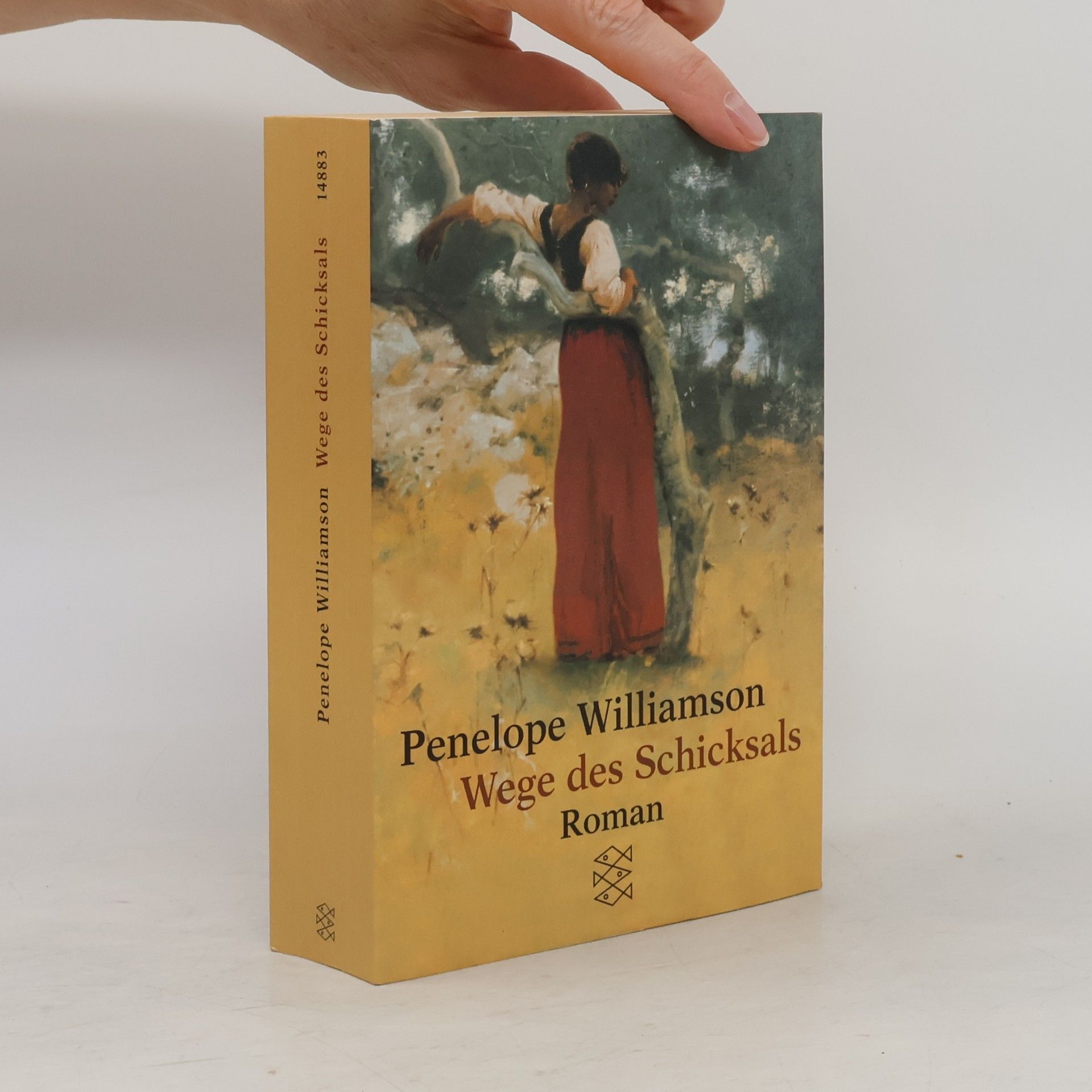 Penelope Williamson Wege des Schicksals