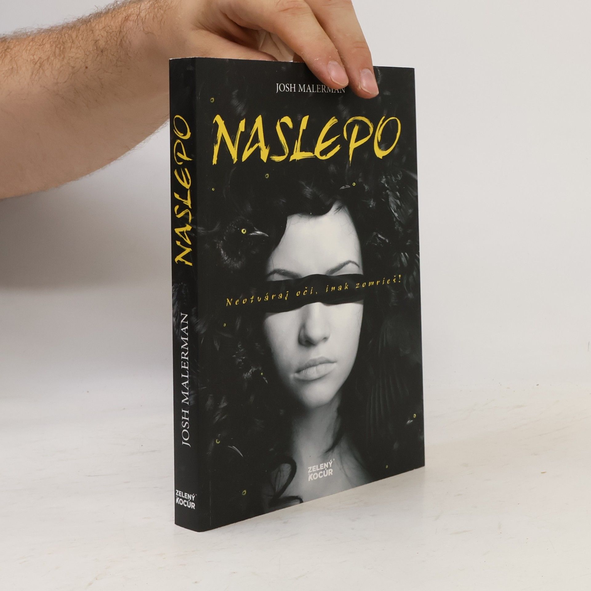 Josh Malerman Naslepo