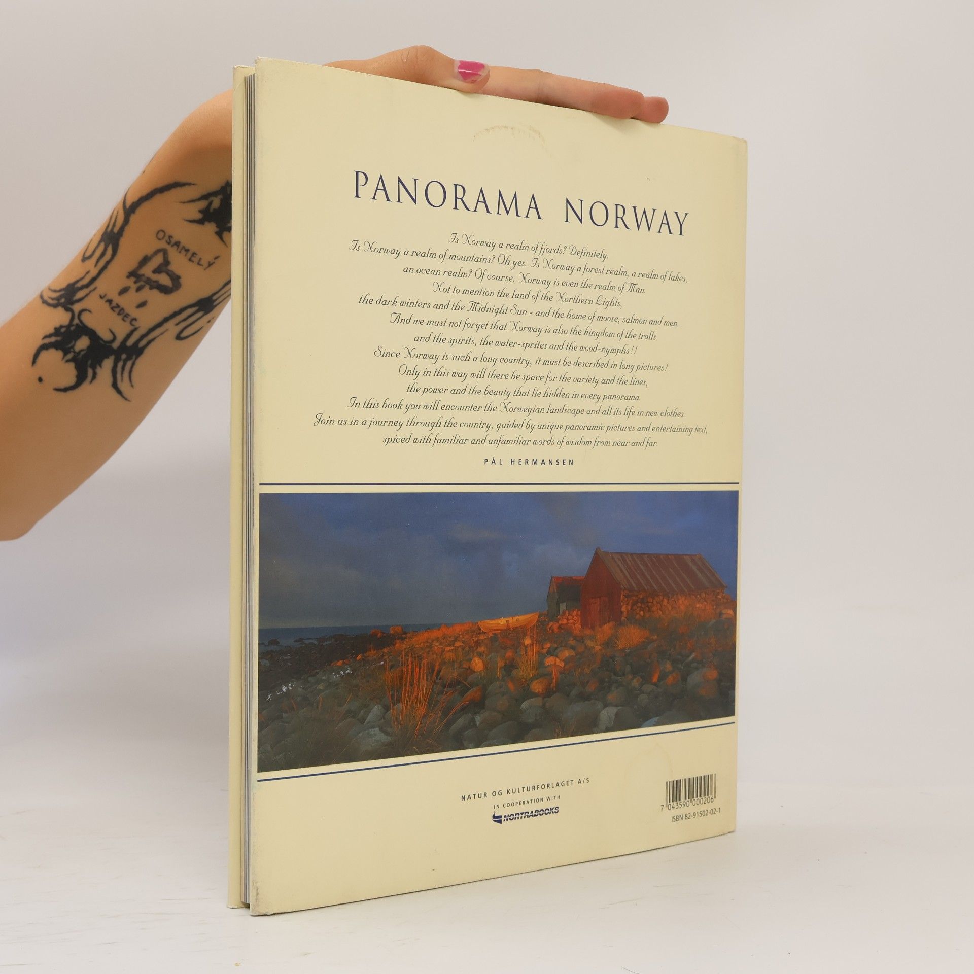 Pål Hermansen Panorama Norway