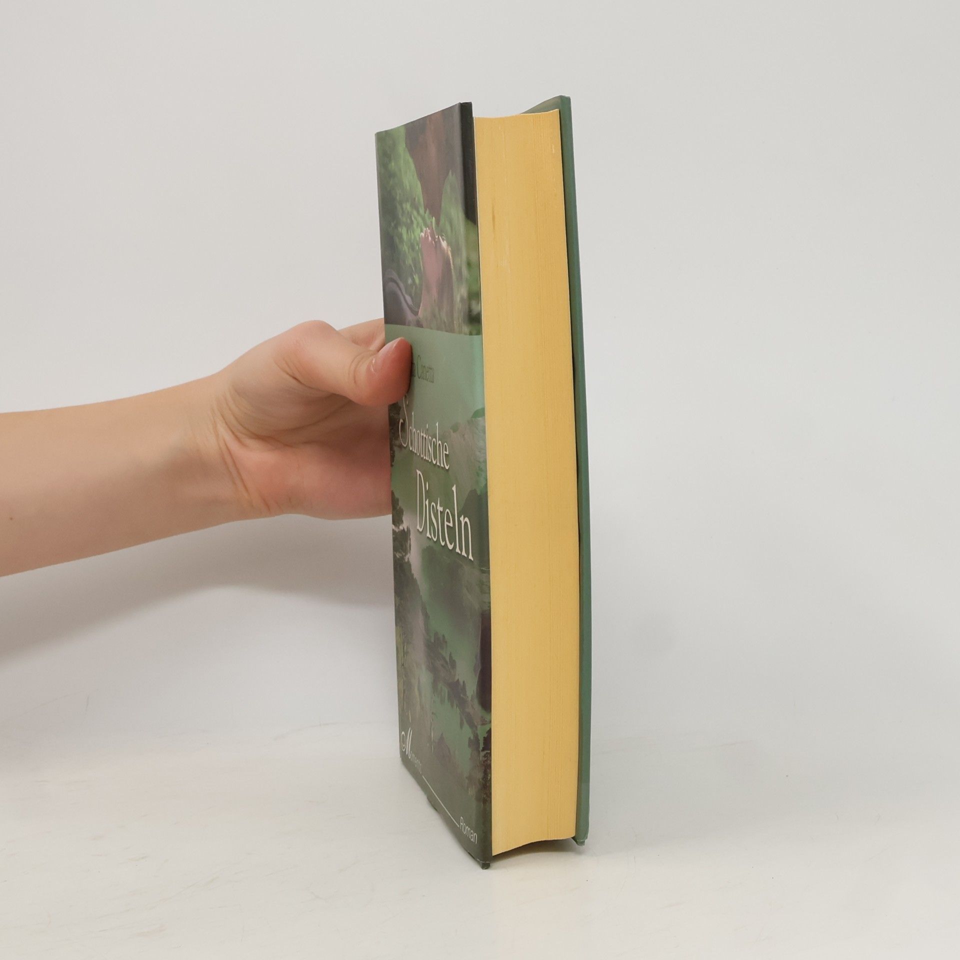 Christa Canetta Schottische Disteln
