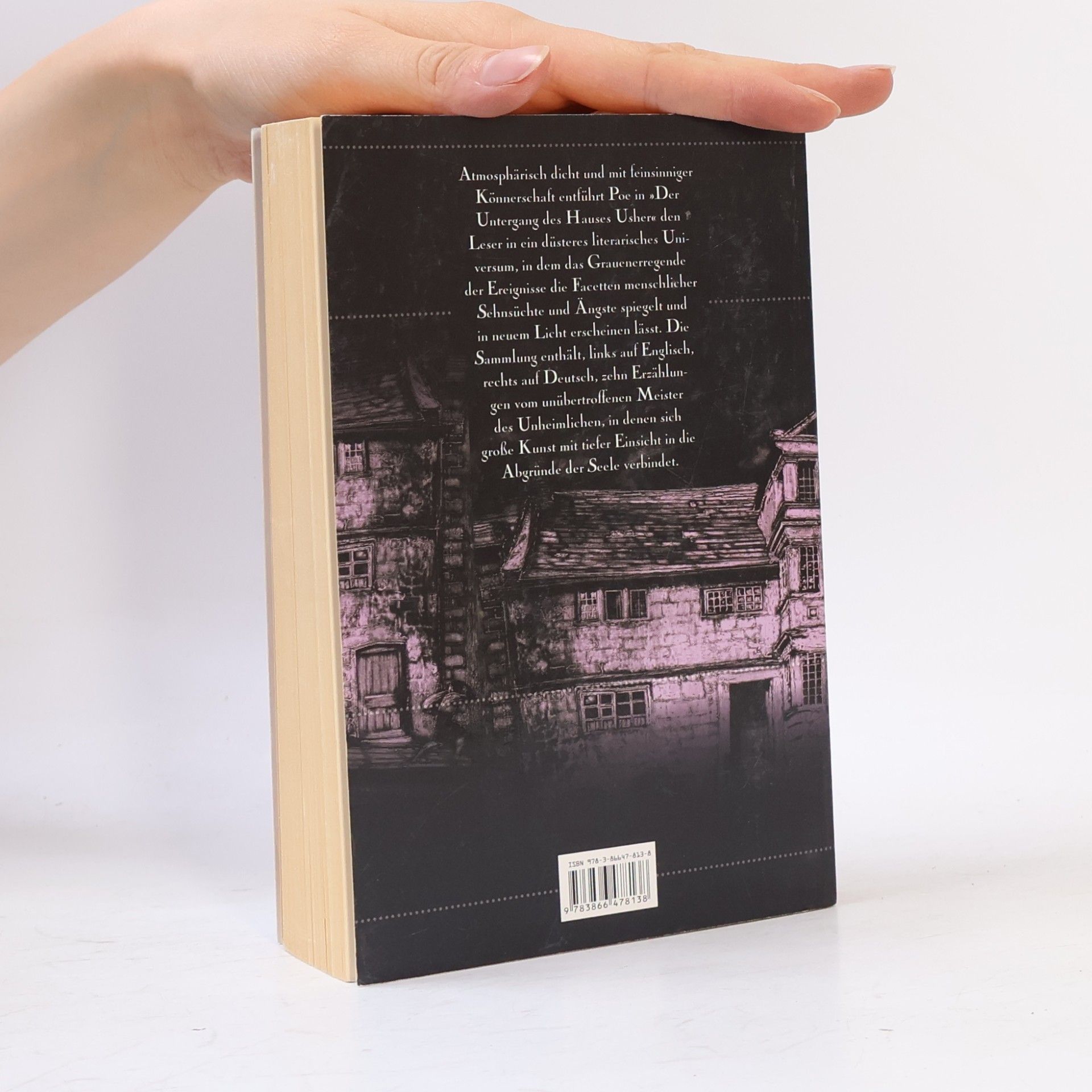 Edgar Allan Poe Der Untergang des Hauses Usher