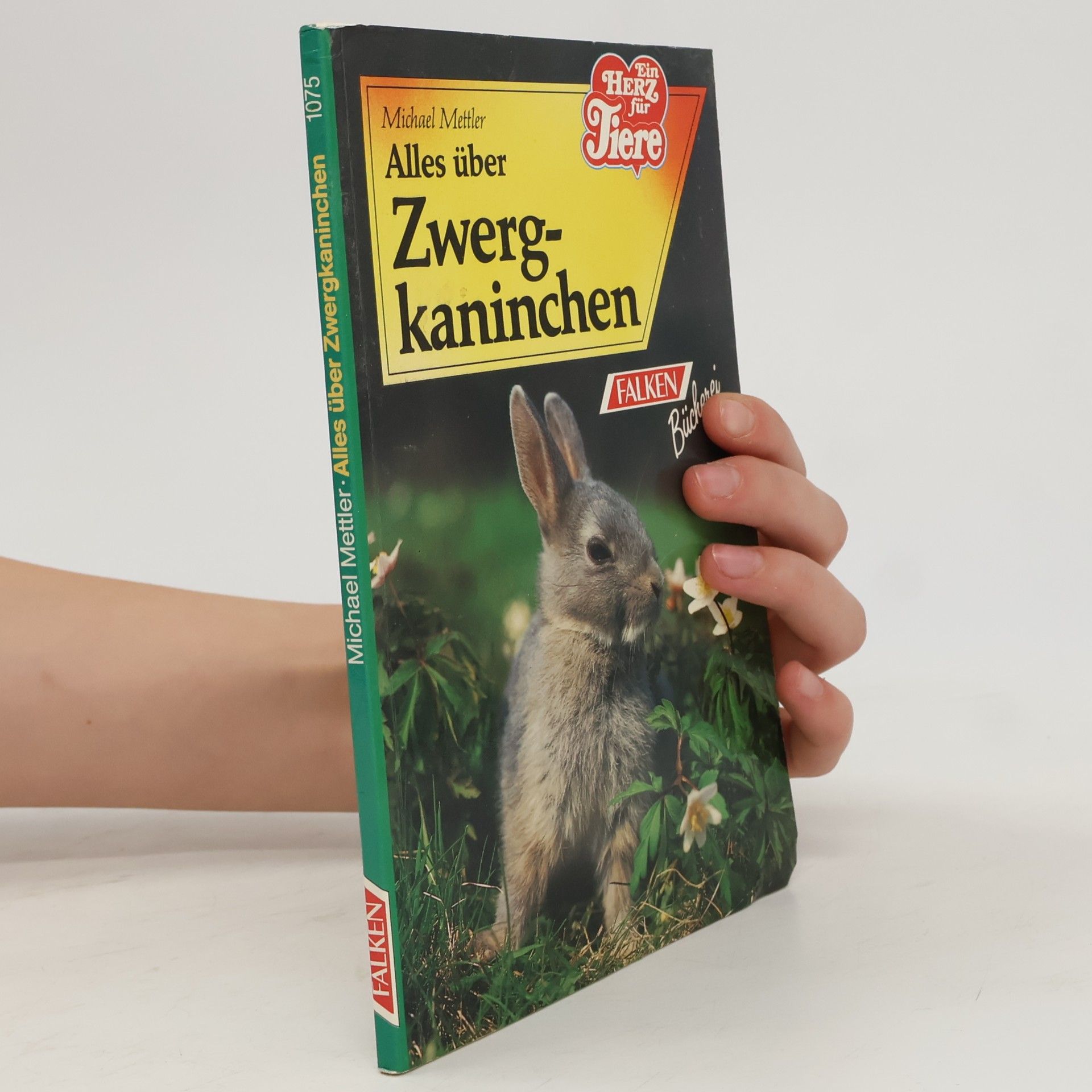 Michael Mettler Alles über Zwergkaninchen