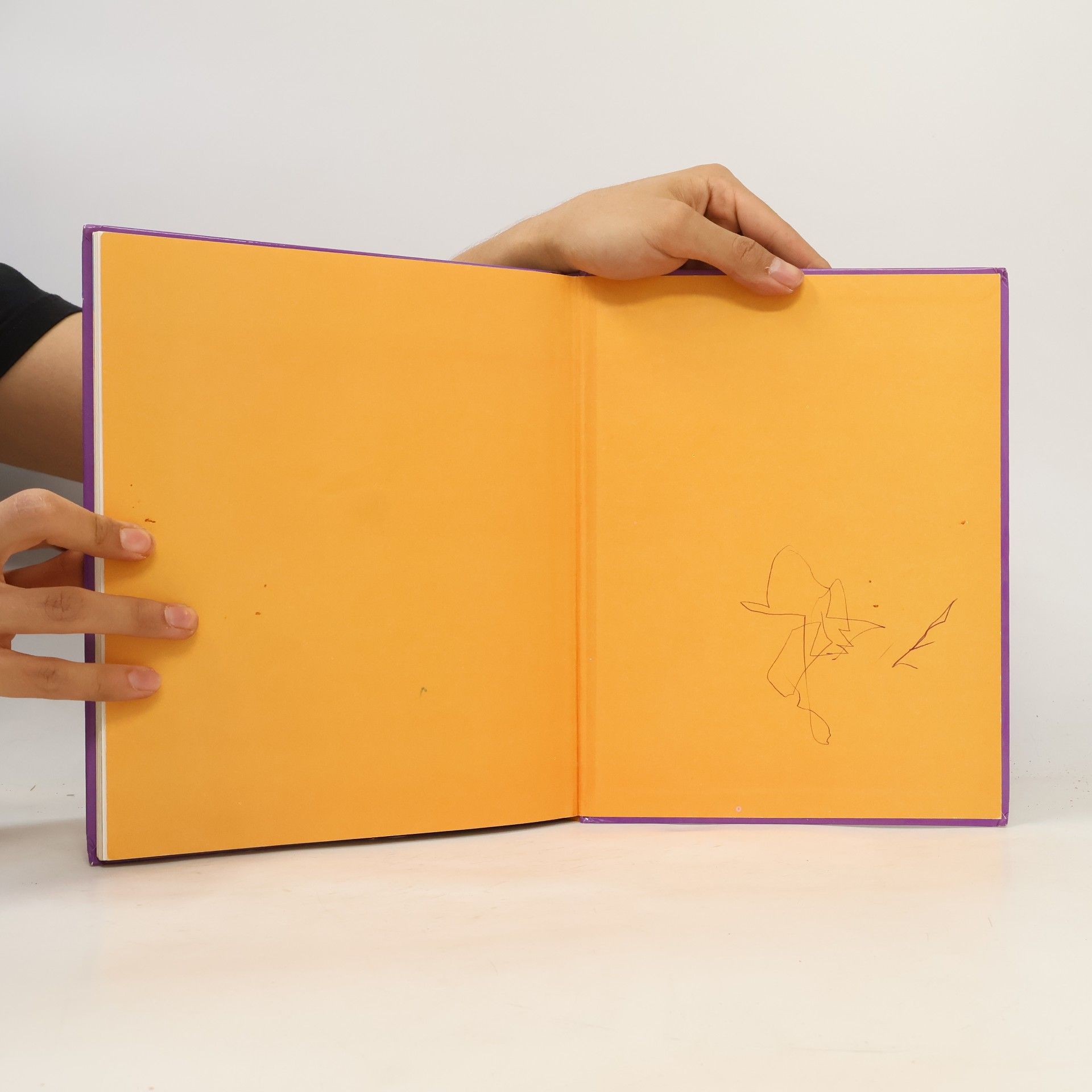 Autores varios Aladin: rozprávky z Agrabahu