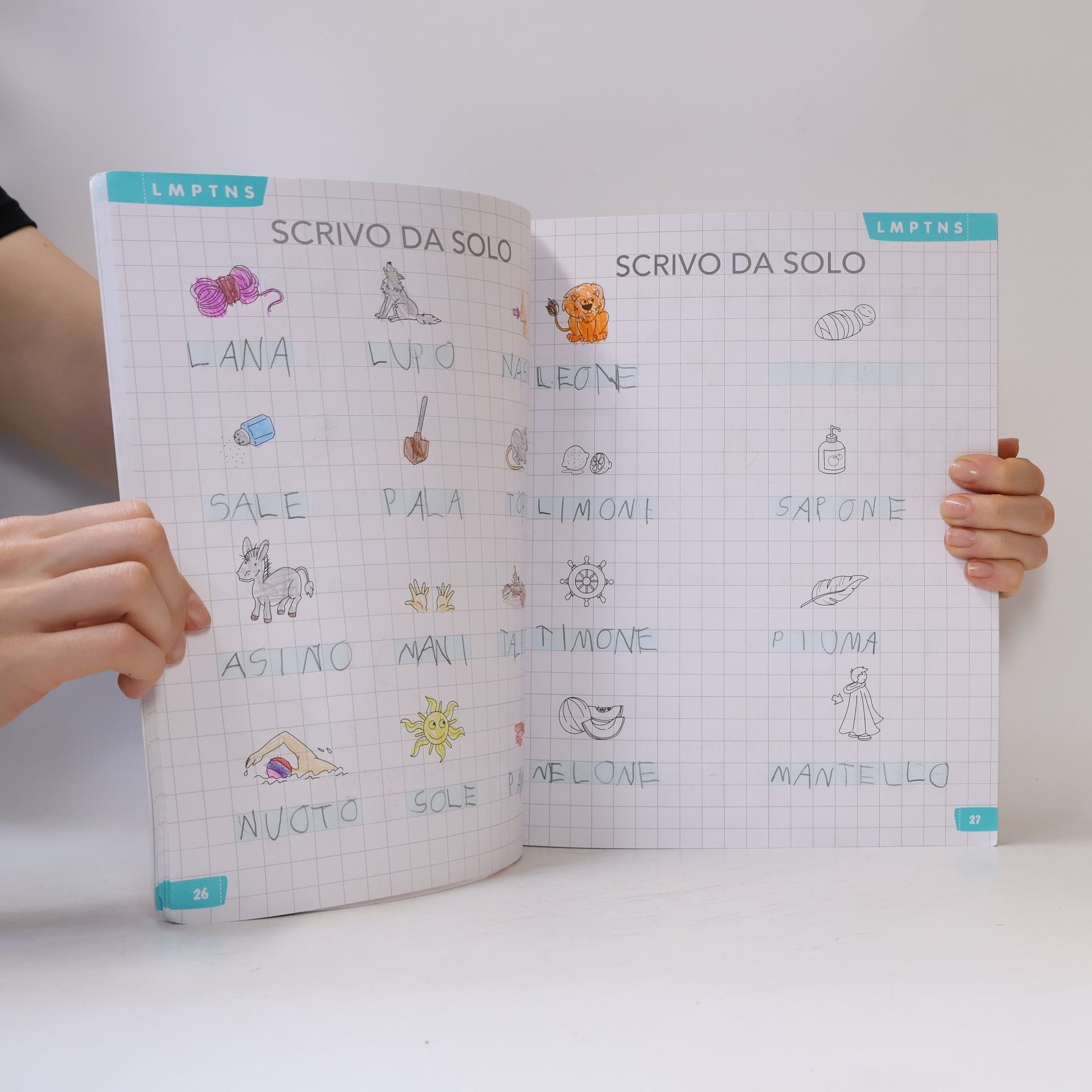 Desirée Rossi Il quaderno delle scritture 1