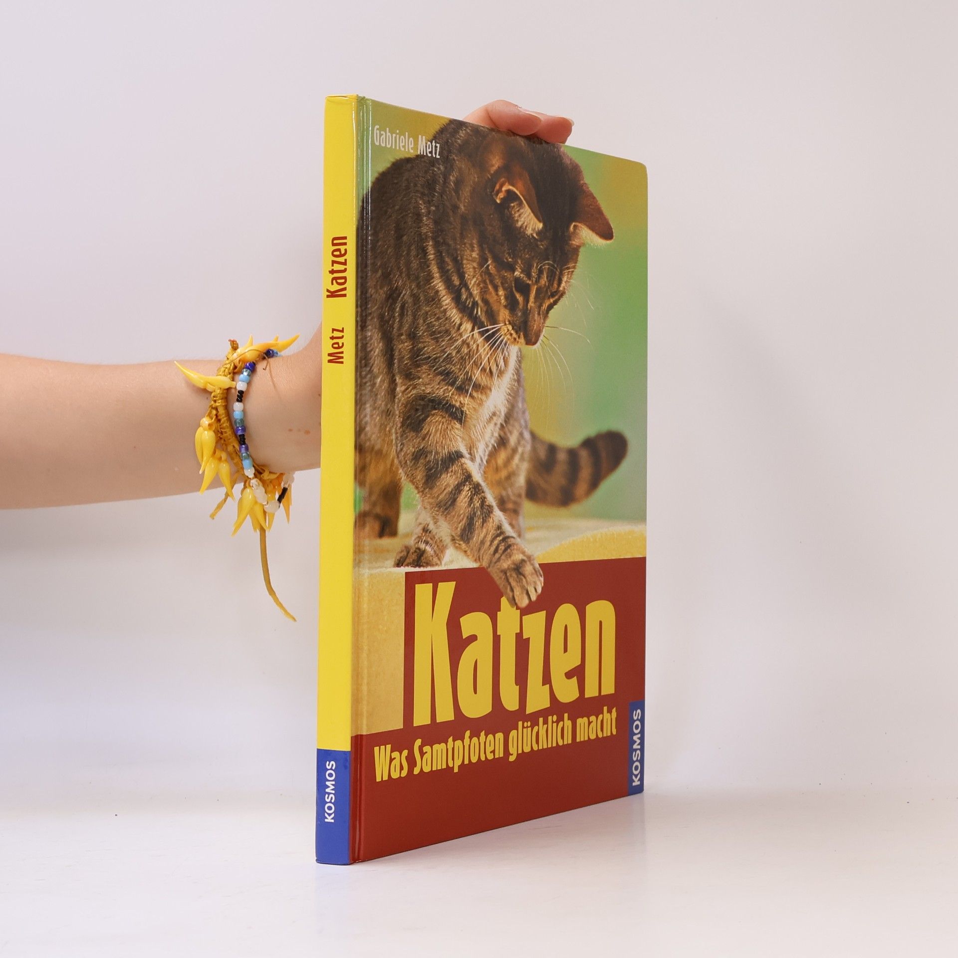 Gabriele Metz Katzen