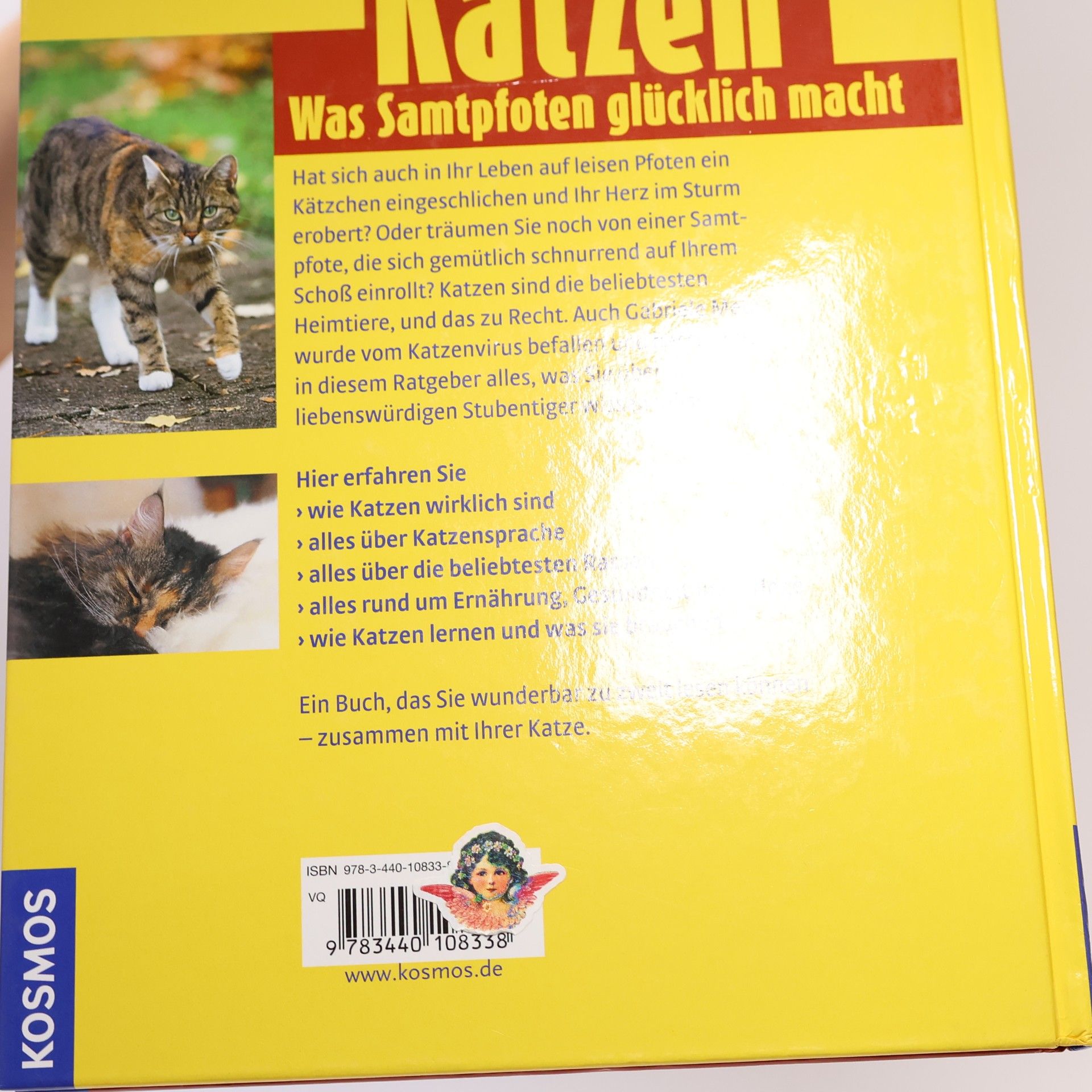 Gabriele Metz Katzen