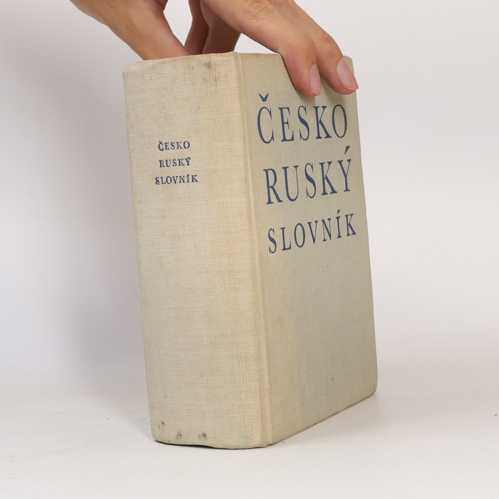 AA.VV. Česko - ruský slovník