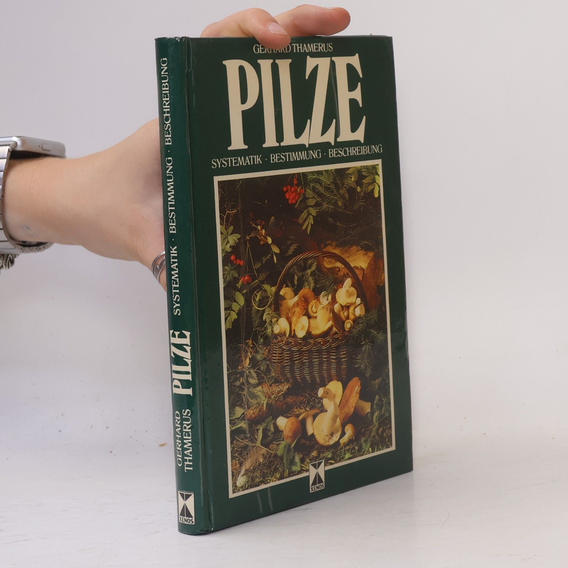 Gerhard Thamerus Pilze