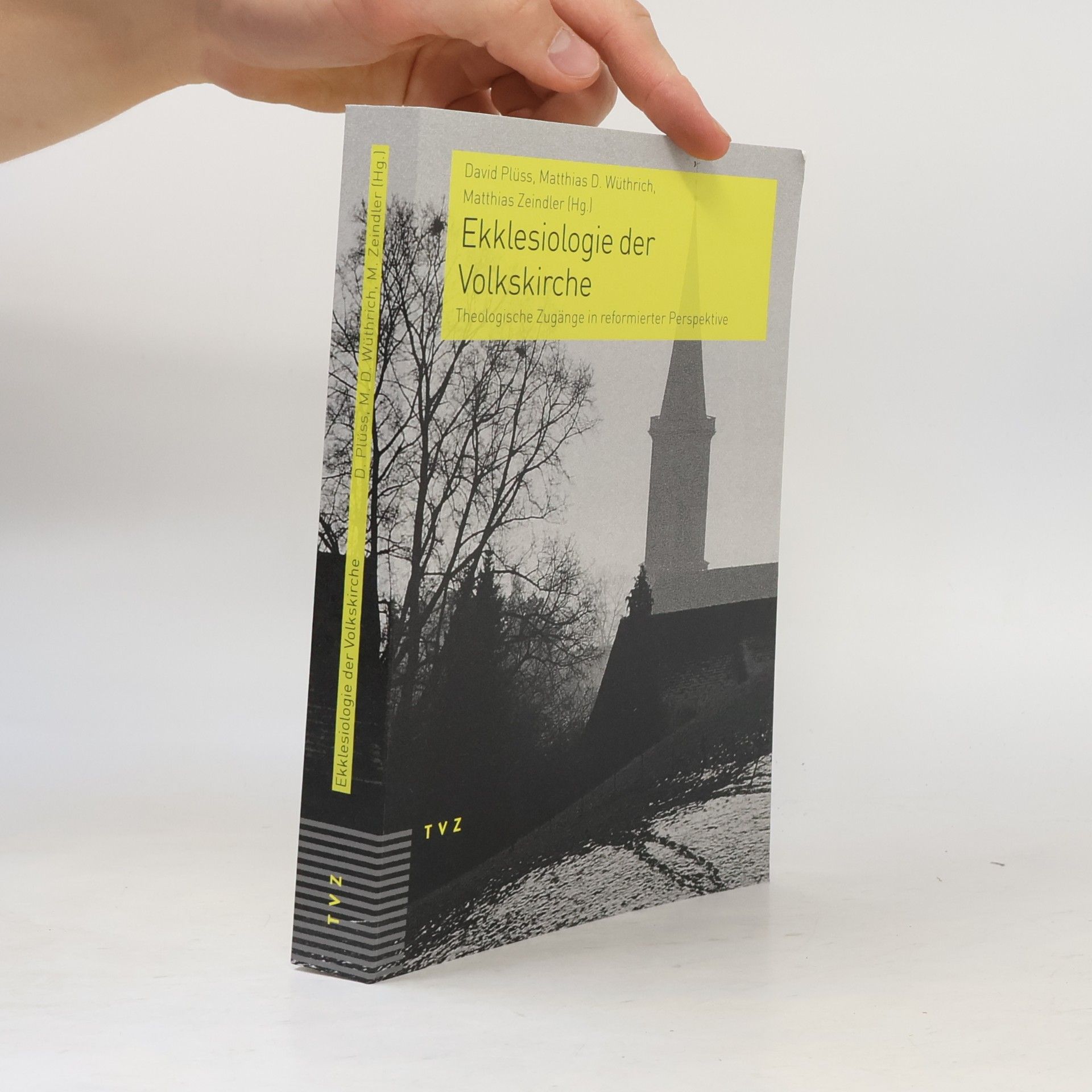 David Plüss Ekklesiologie der Volkskirche