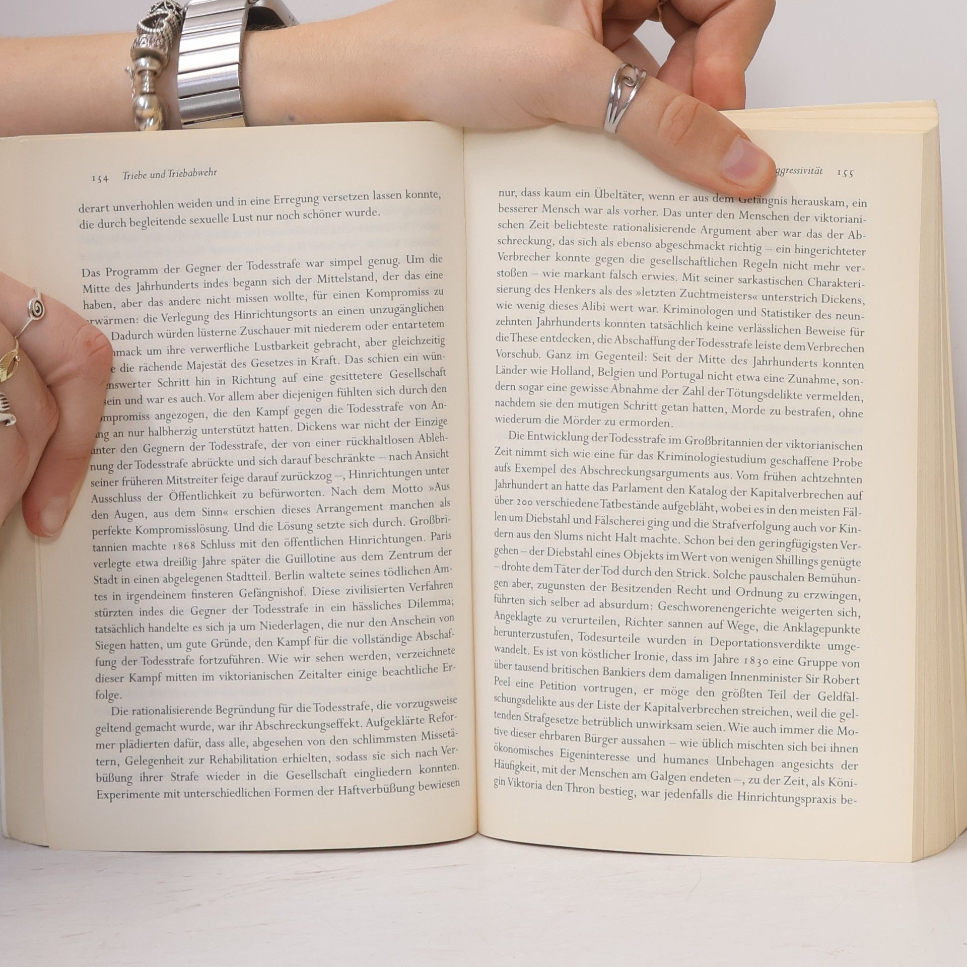 Peter Gay Das Zeitalter des Doktor Arthur Schnitzler