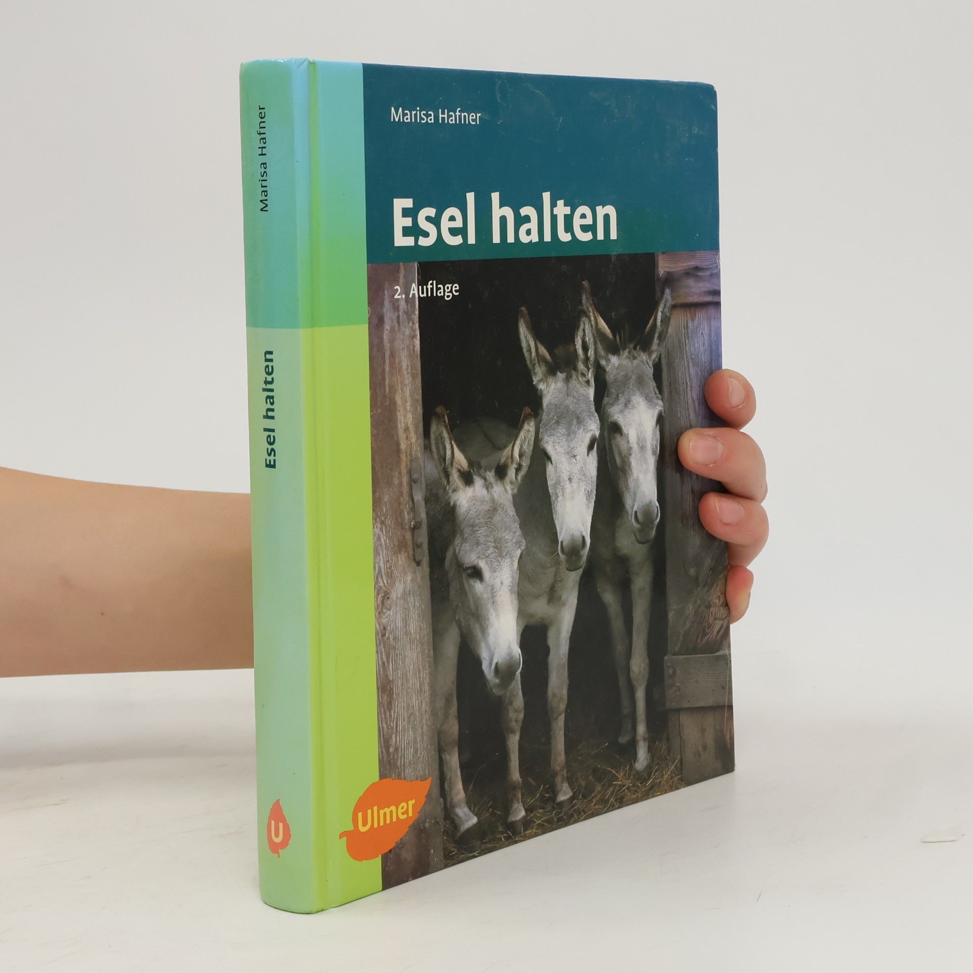 Marisa Hafner Esel halten