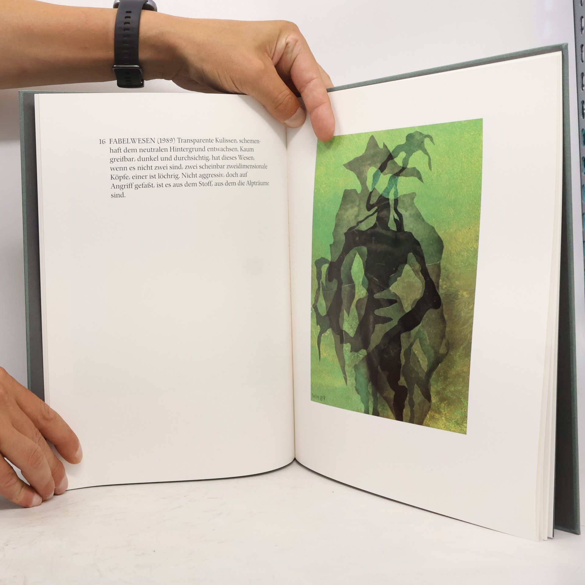 Wolfgang Hildesheimer Landschaft mit Phoenix