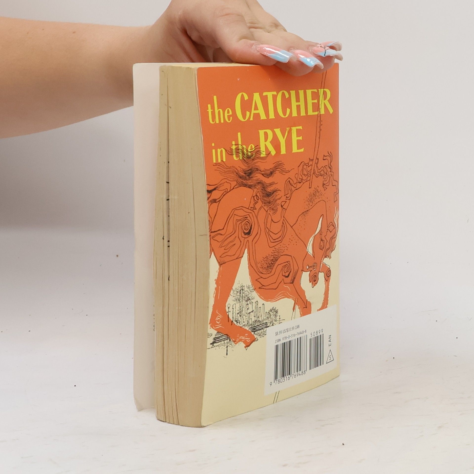 J. D. Salinger The catcher in the rye