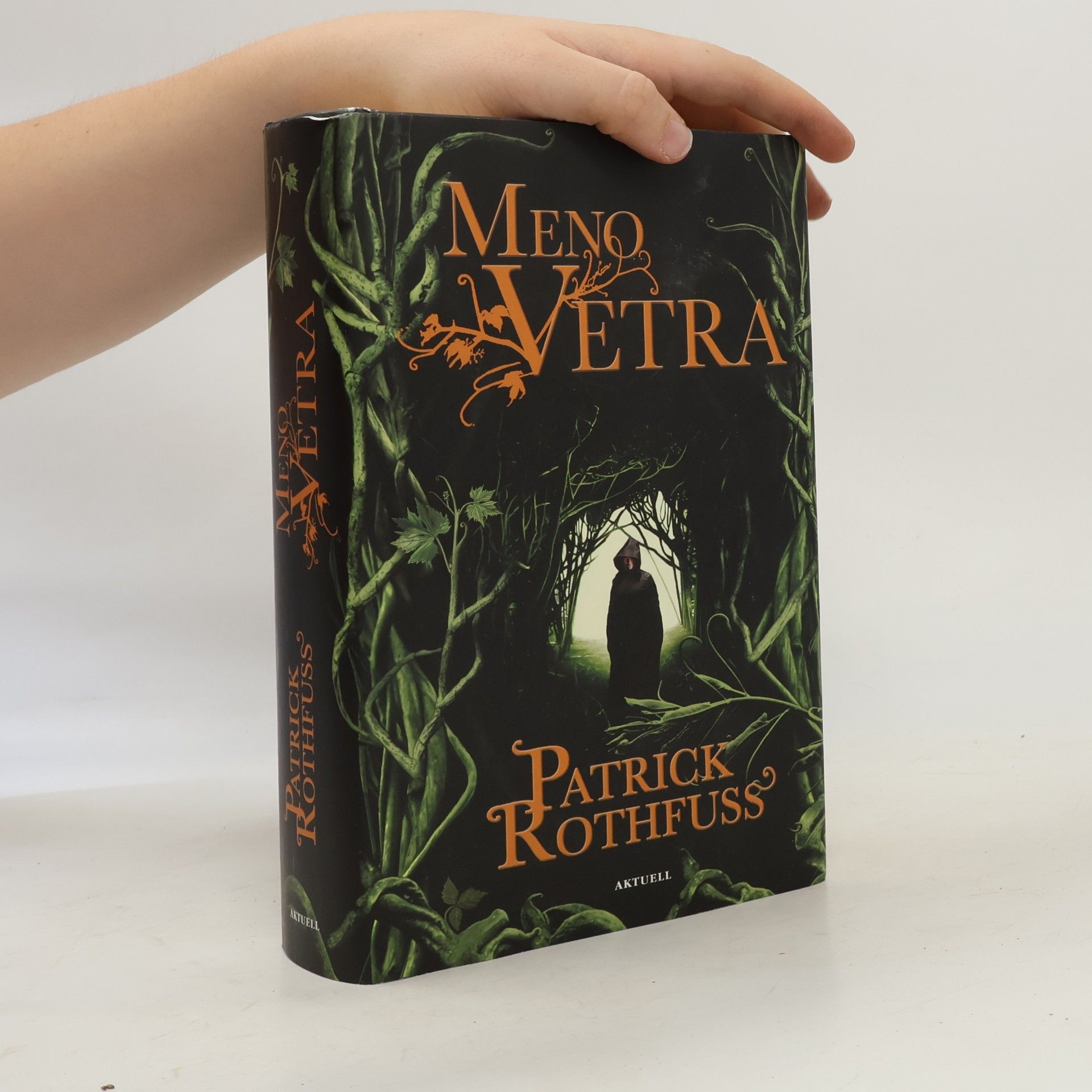 Patrick Rothfuss Meno vetra