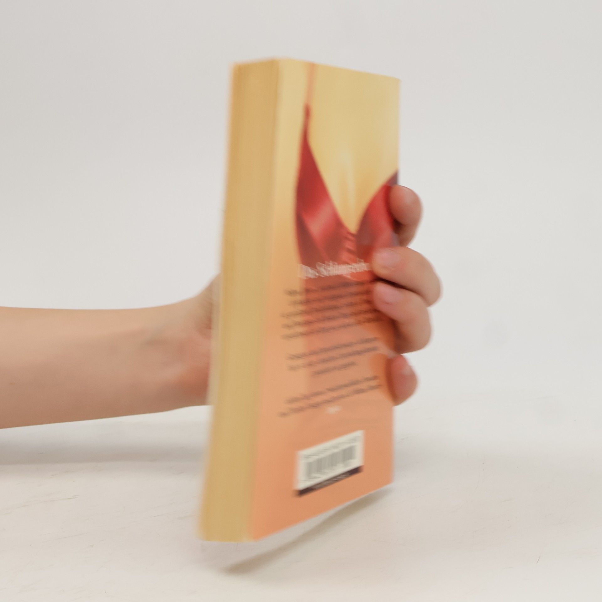 Milena Moser Das Schlampenbuch