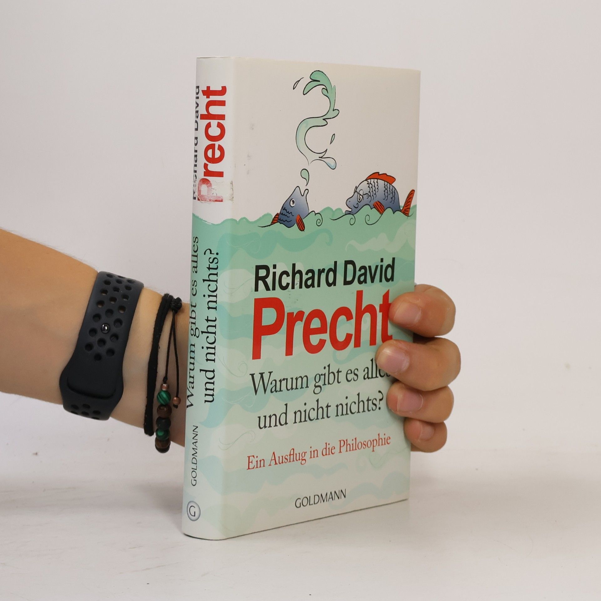 Richard David Precht Warum gibt es alles und nicht nichts?