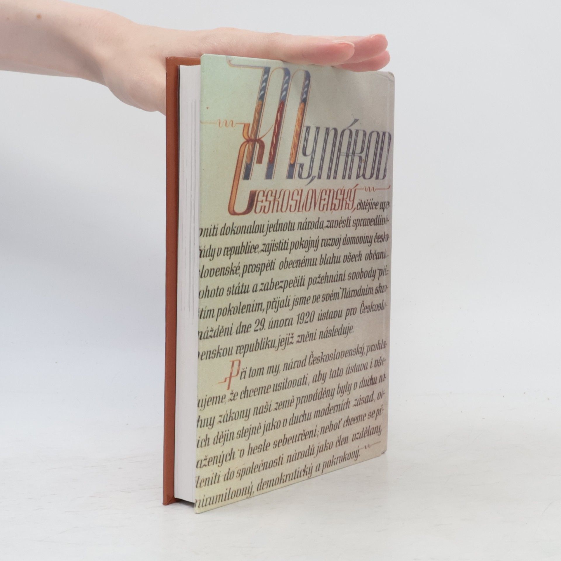 Autorenkollektiv Dějiny zemí Koruny české II.