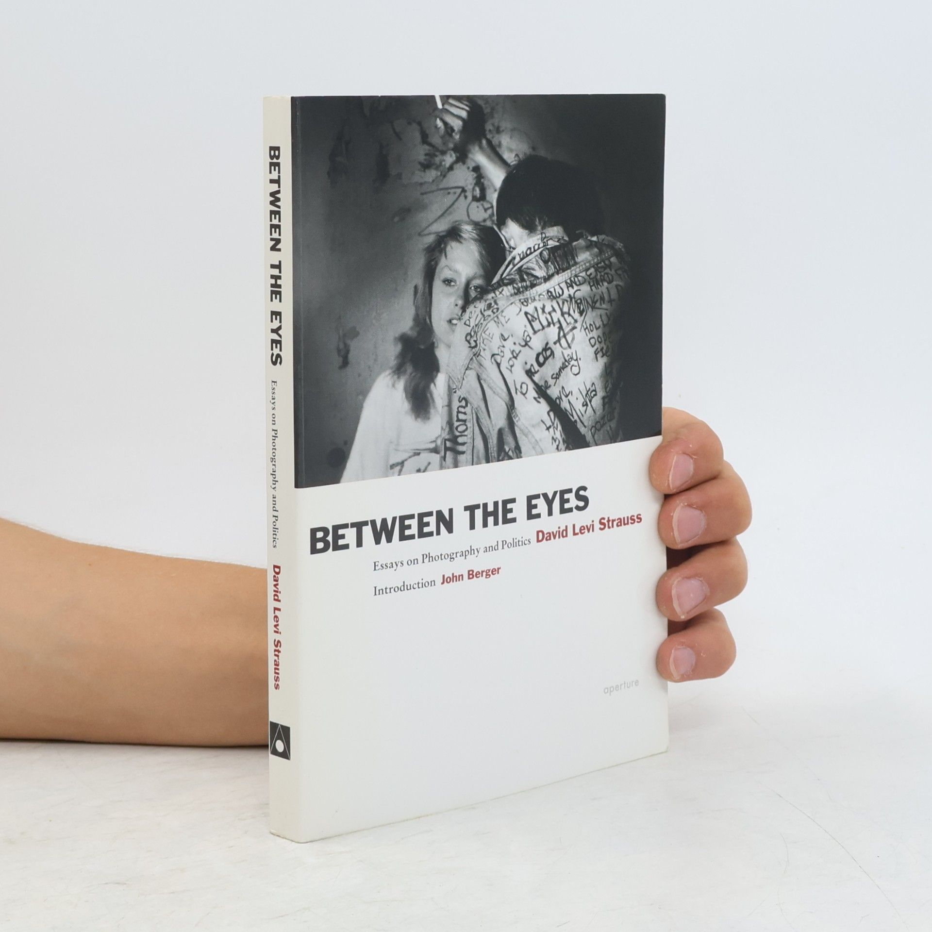 David Levi Strauss Between the Eyes