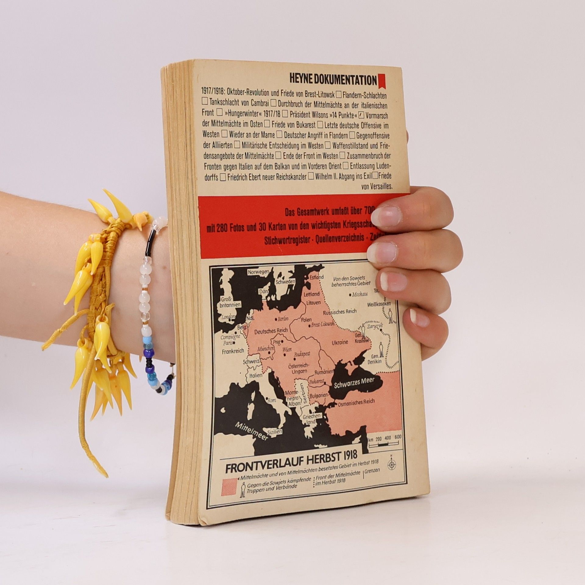 Kolektiv autorů Der I. Weltkrieg 1914-1918 in Wort und Bild 3