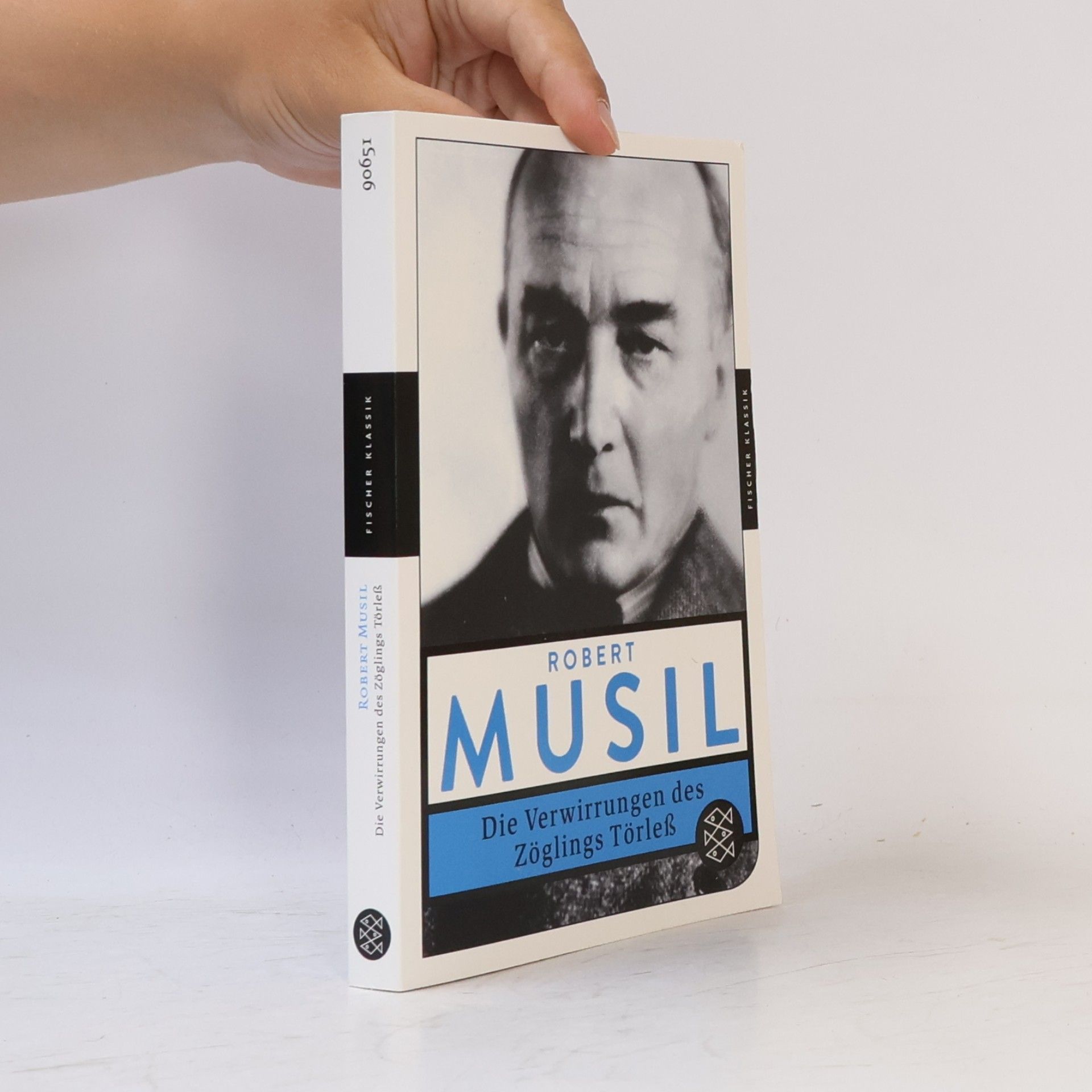 Robert Musil Die Verwirrungen des Zöglings Törleß