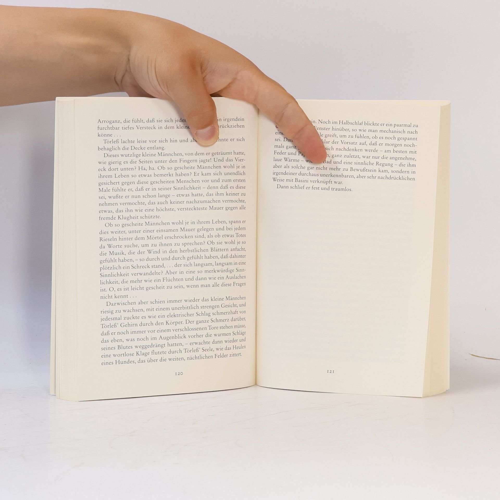 Robert Musil Die Verwirrungen des Zöglings Törleß