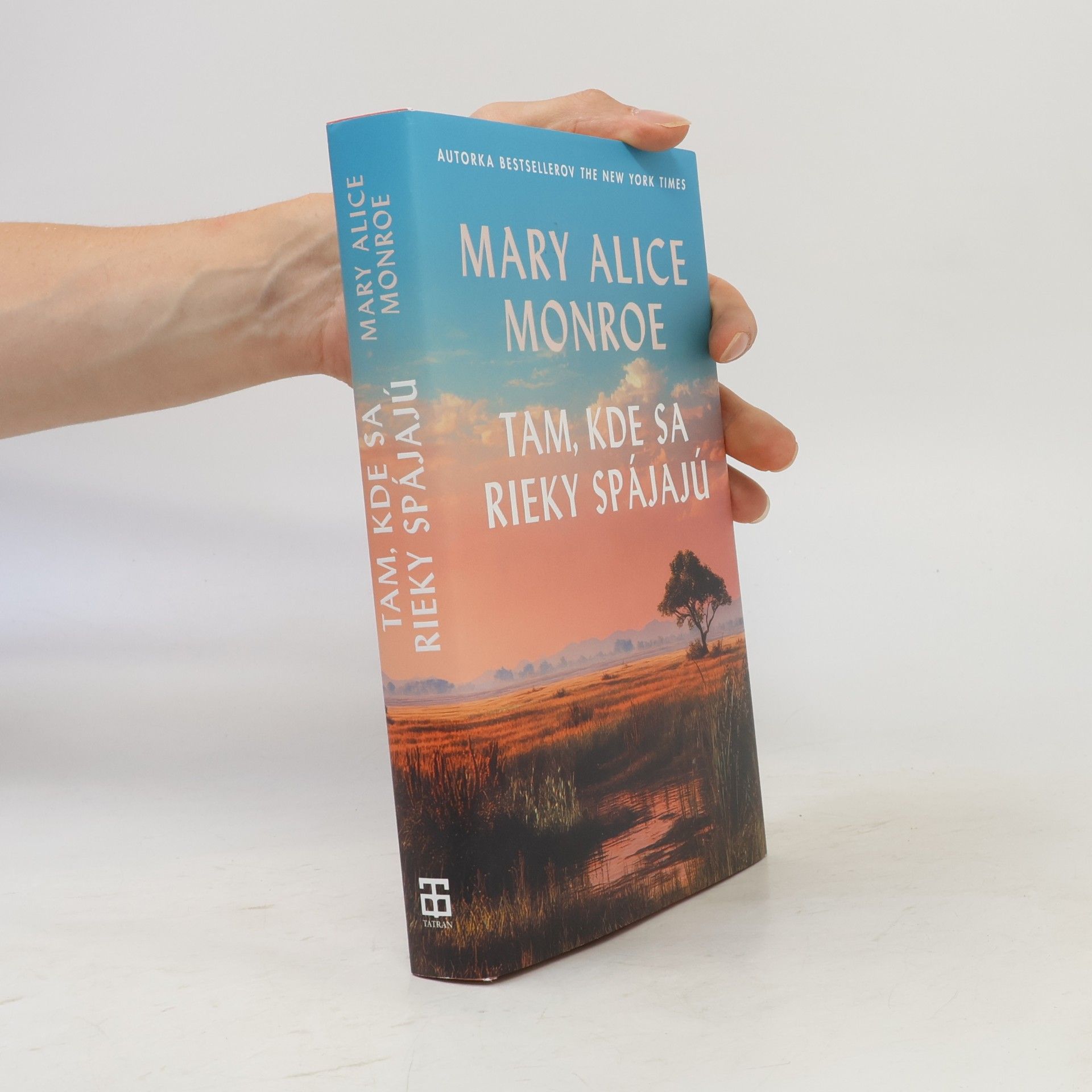 Mary Alice Monroe Tam, kde sa rieky spájajú