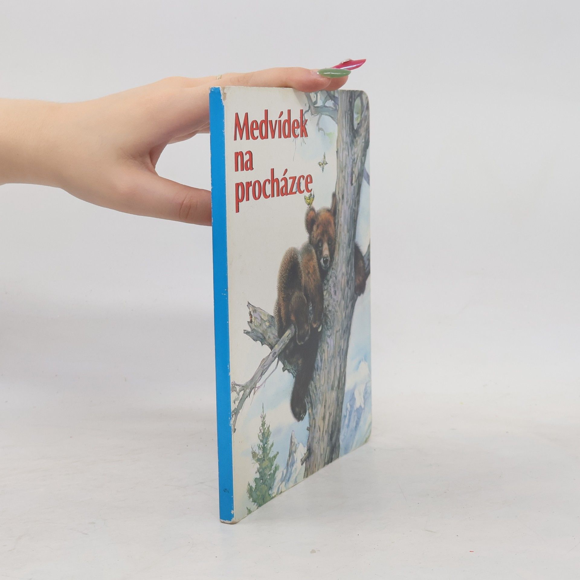 Kolektiv autorů Medvídek na procházce