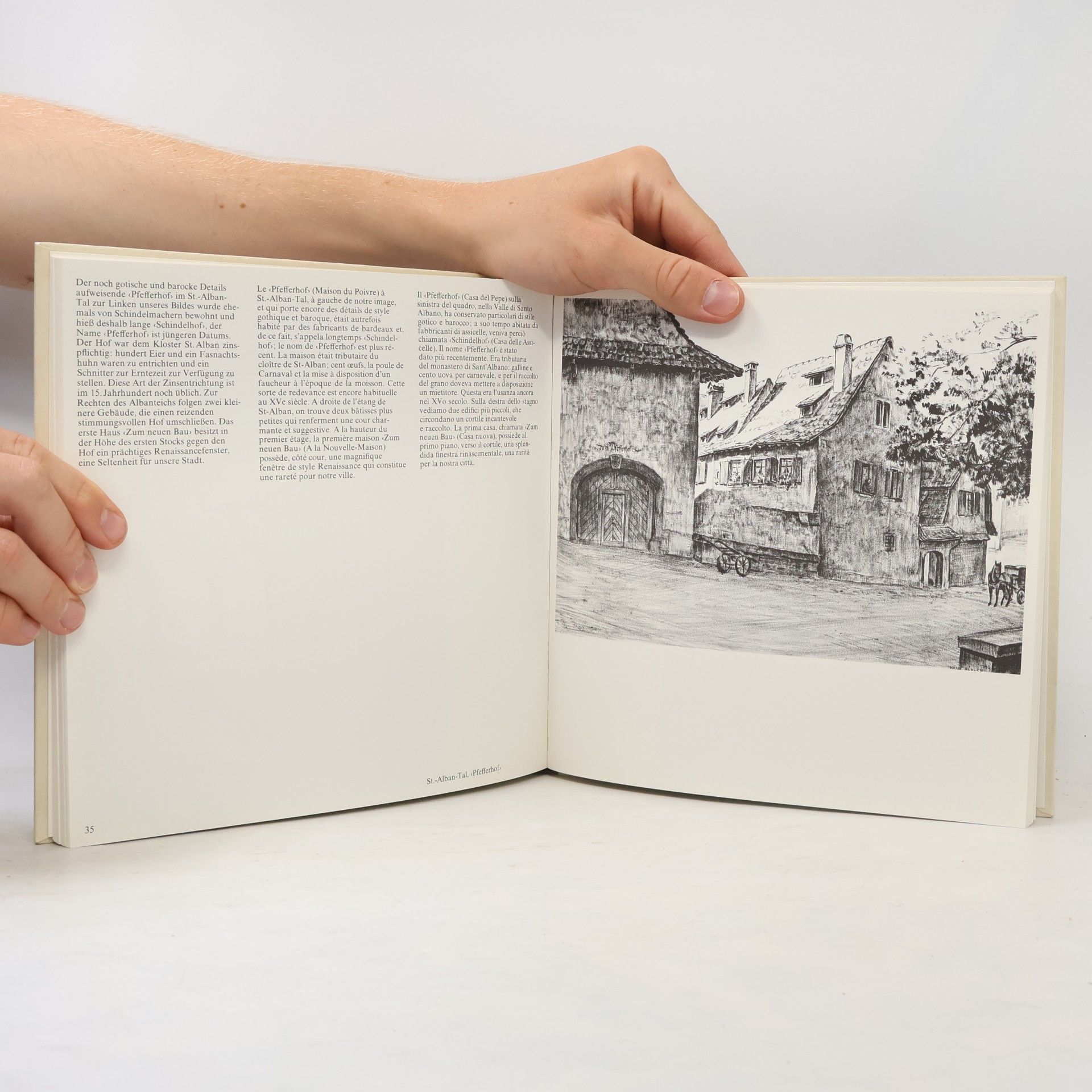 Hans Bühler The Changing Face of Basel