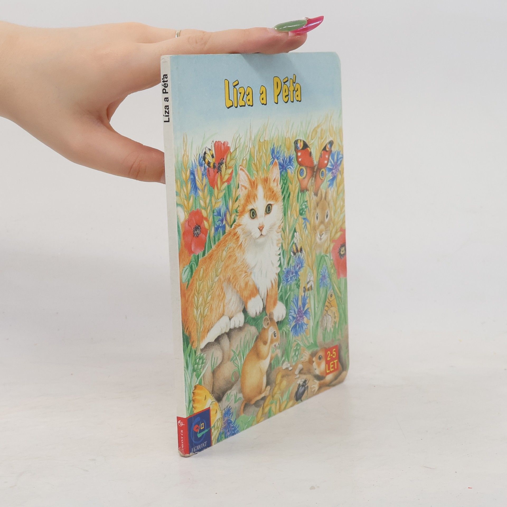 Collectif d'auteurs Líza a Péťa