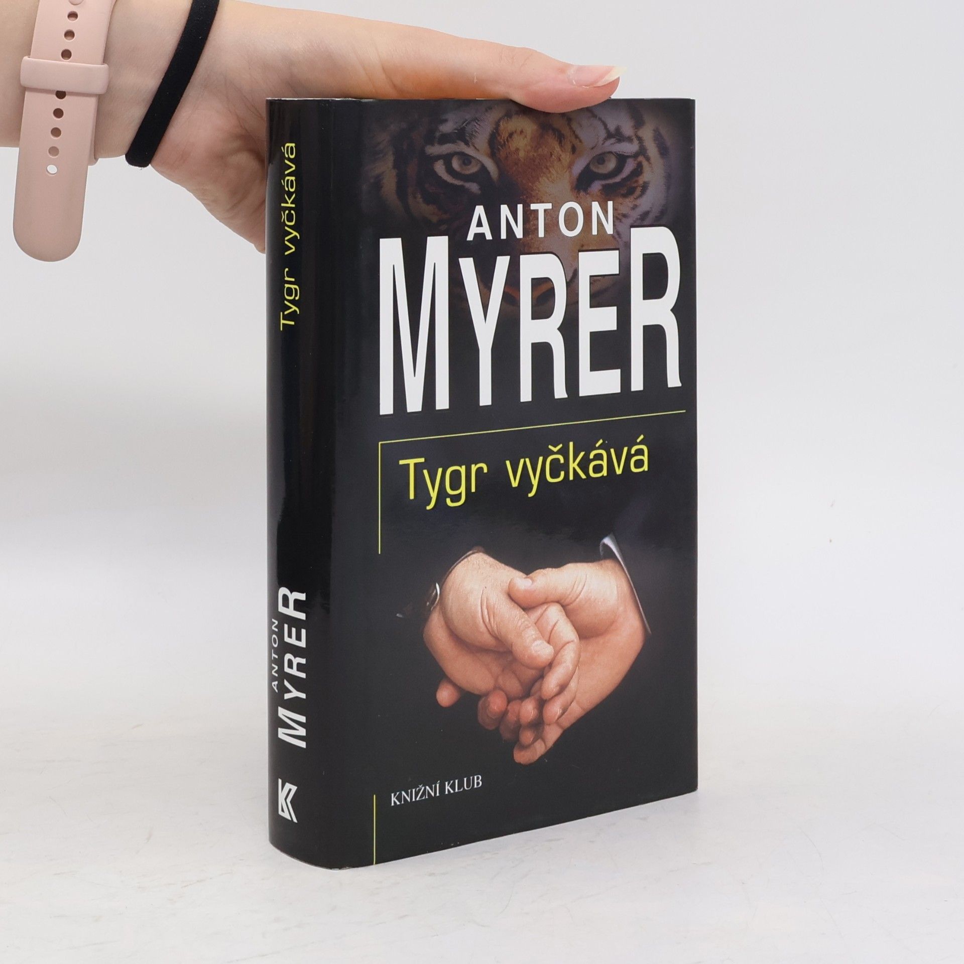 Ivo Šmoldas Tygr vyčkává