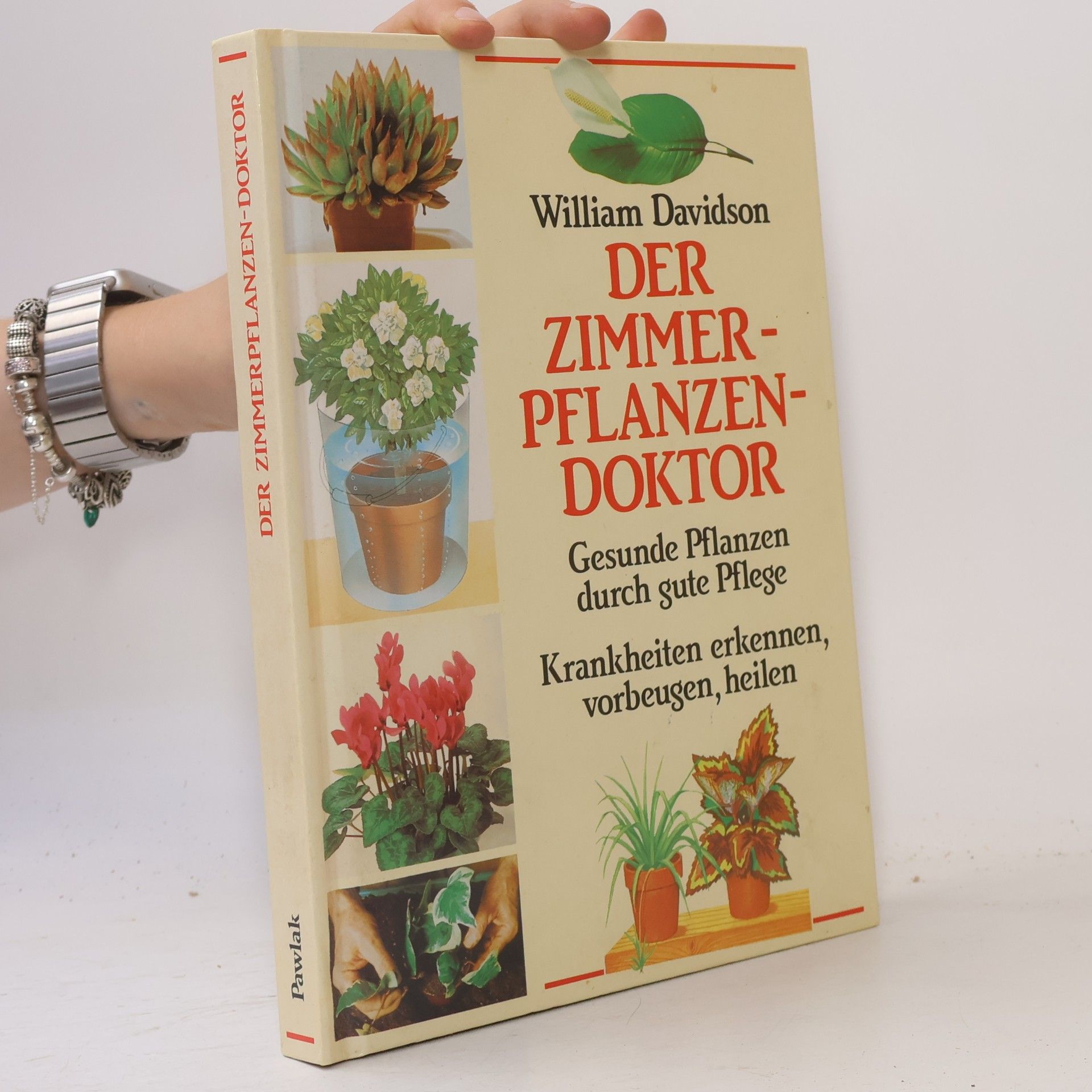 William Davidson Der Zimmerpflanzendoktor