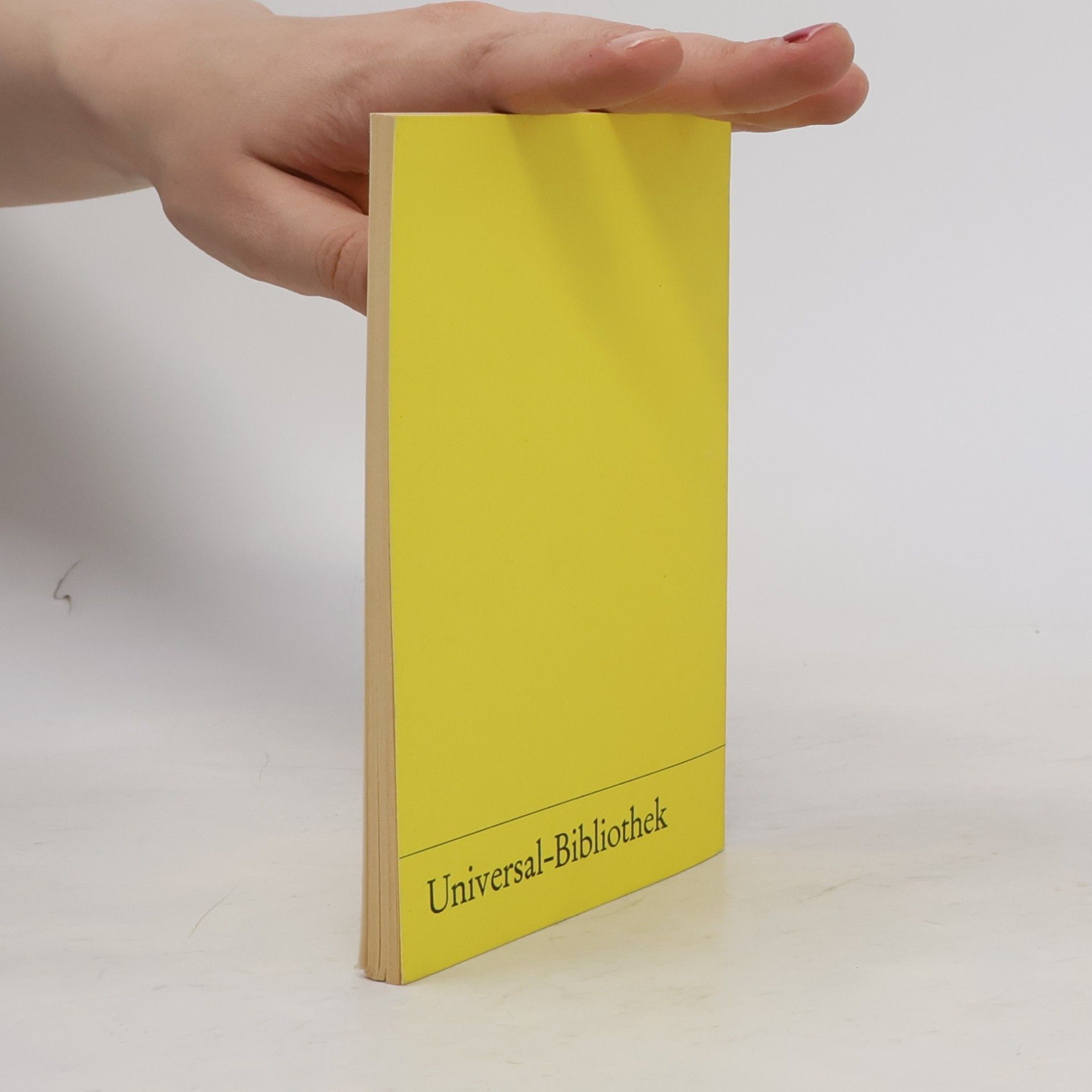 Theodor Storm Immensee und andere Novellen